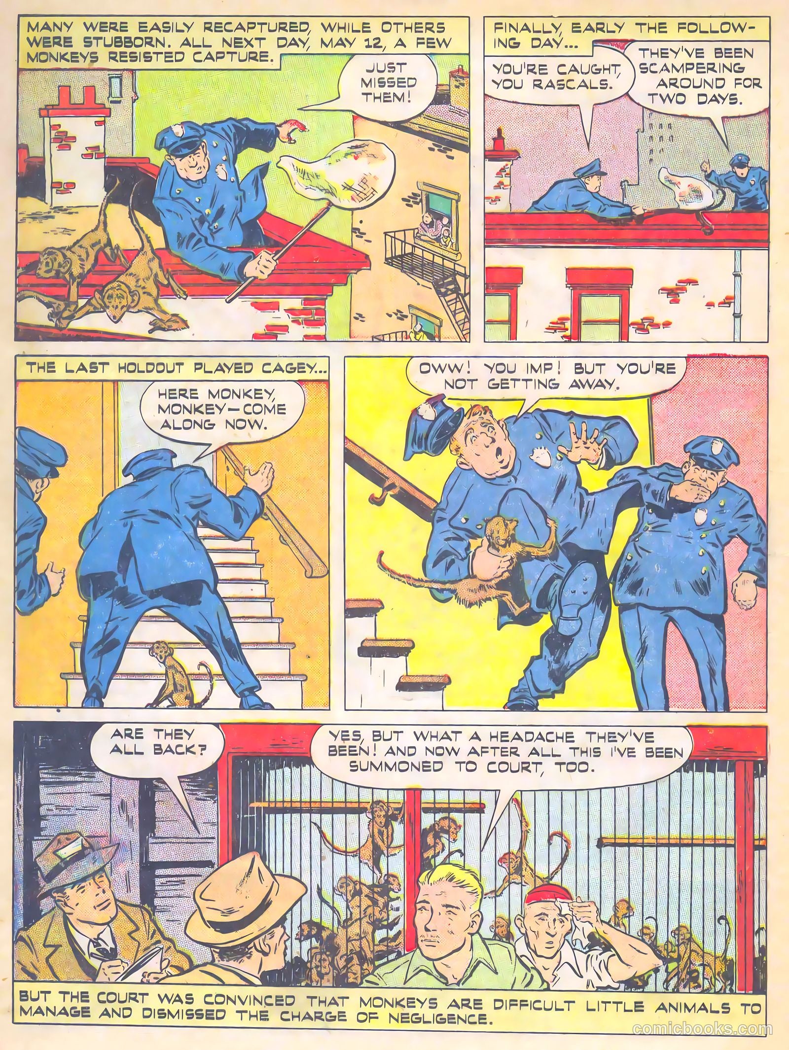 True Comics #53 (1946) — page 35 of 51