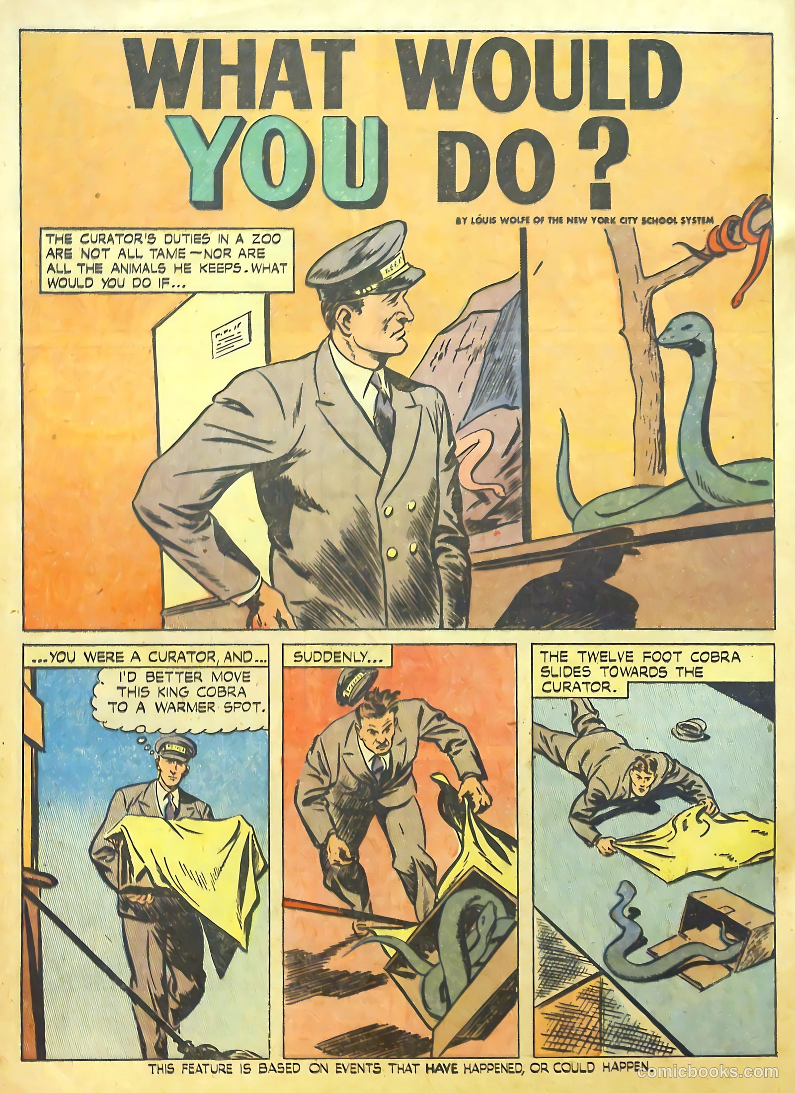 True Comics #55 (1946) — page 31 of 51