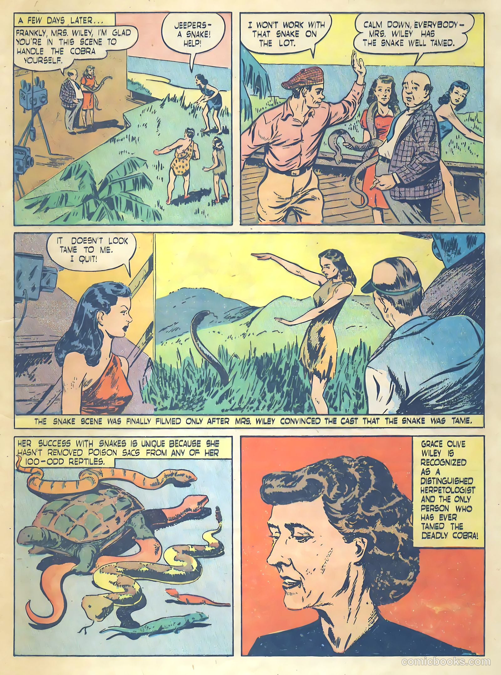 True Comics #58 (1947) — page 13 of 53