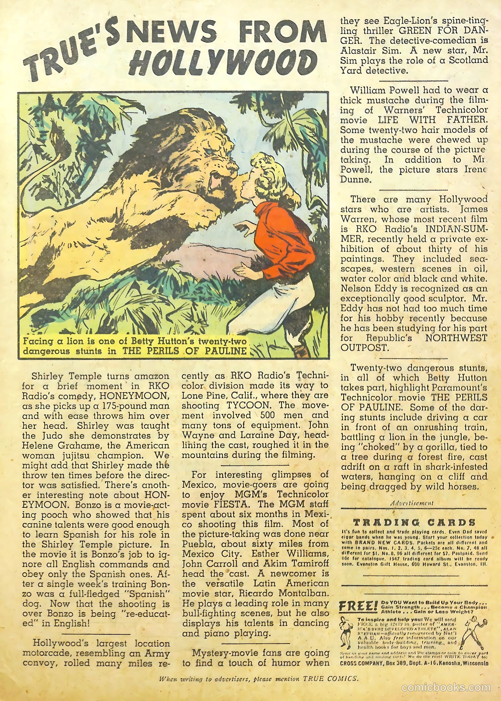 True Comics #64 (1947) — page 32 of 37
