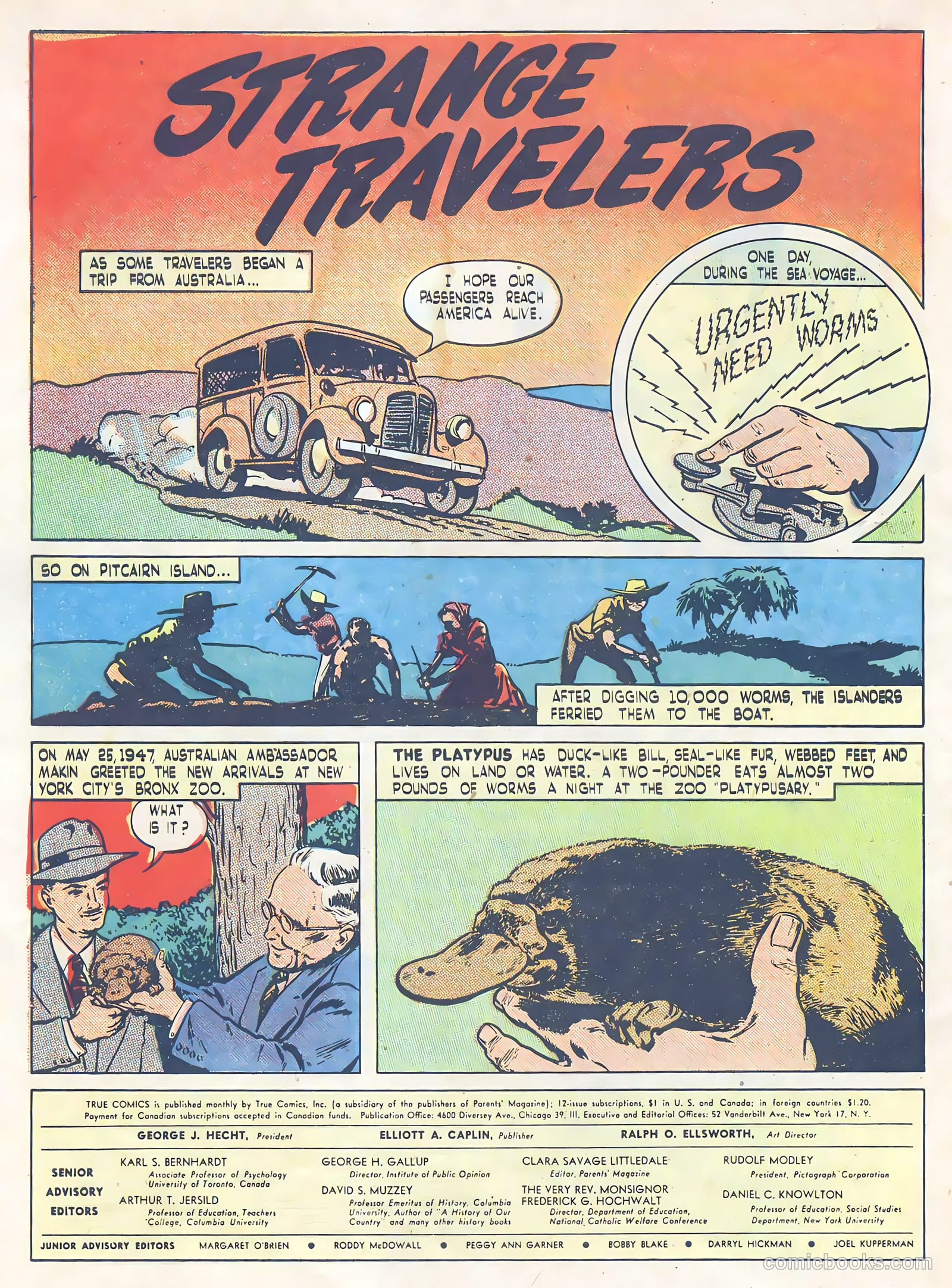 True Comics #65 (1947) — page 34 of 36
