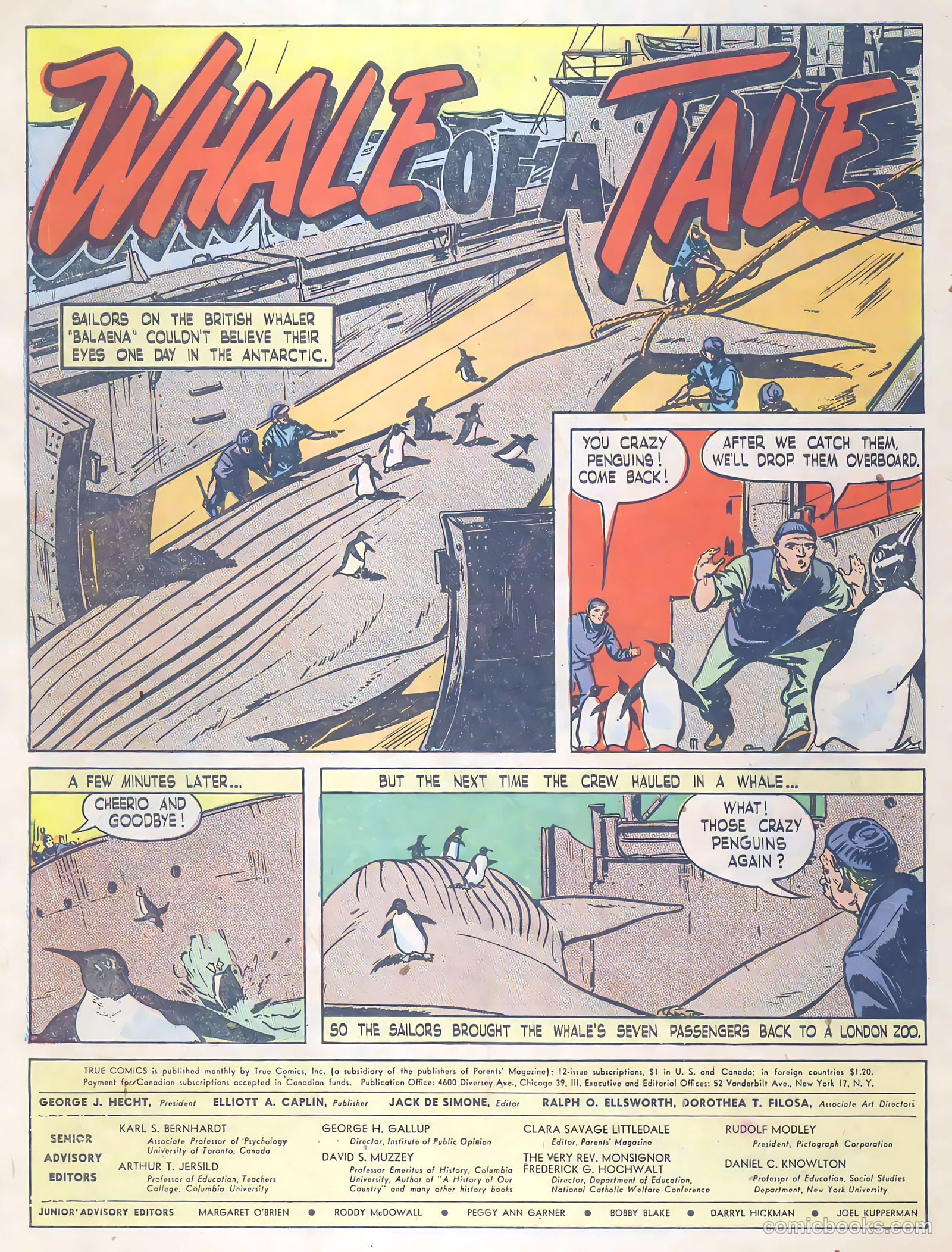 True Comics #66 (1947) — page 34 of 36