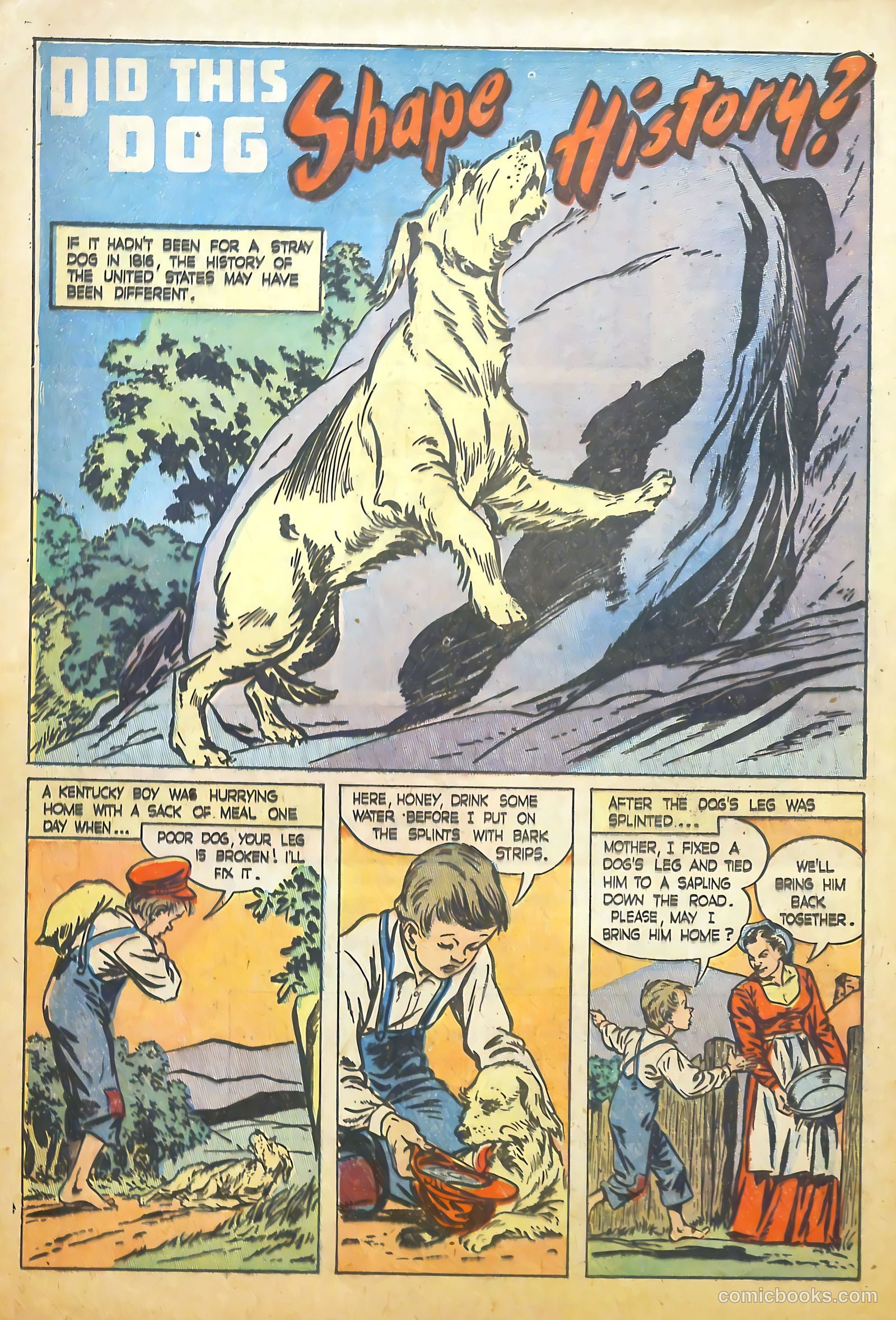 True Comics #72 (1948) — page 12 of 35