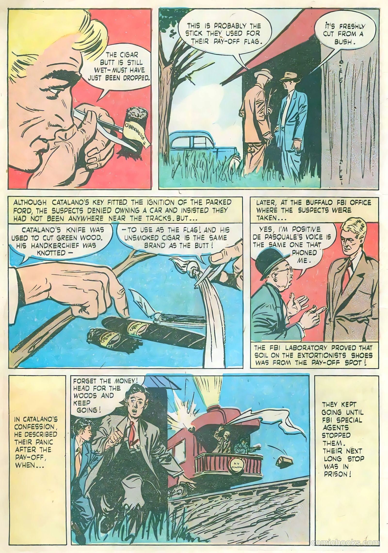 True Comics #73 (1948) — page 8 of 36
