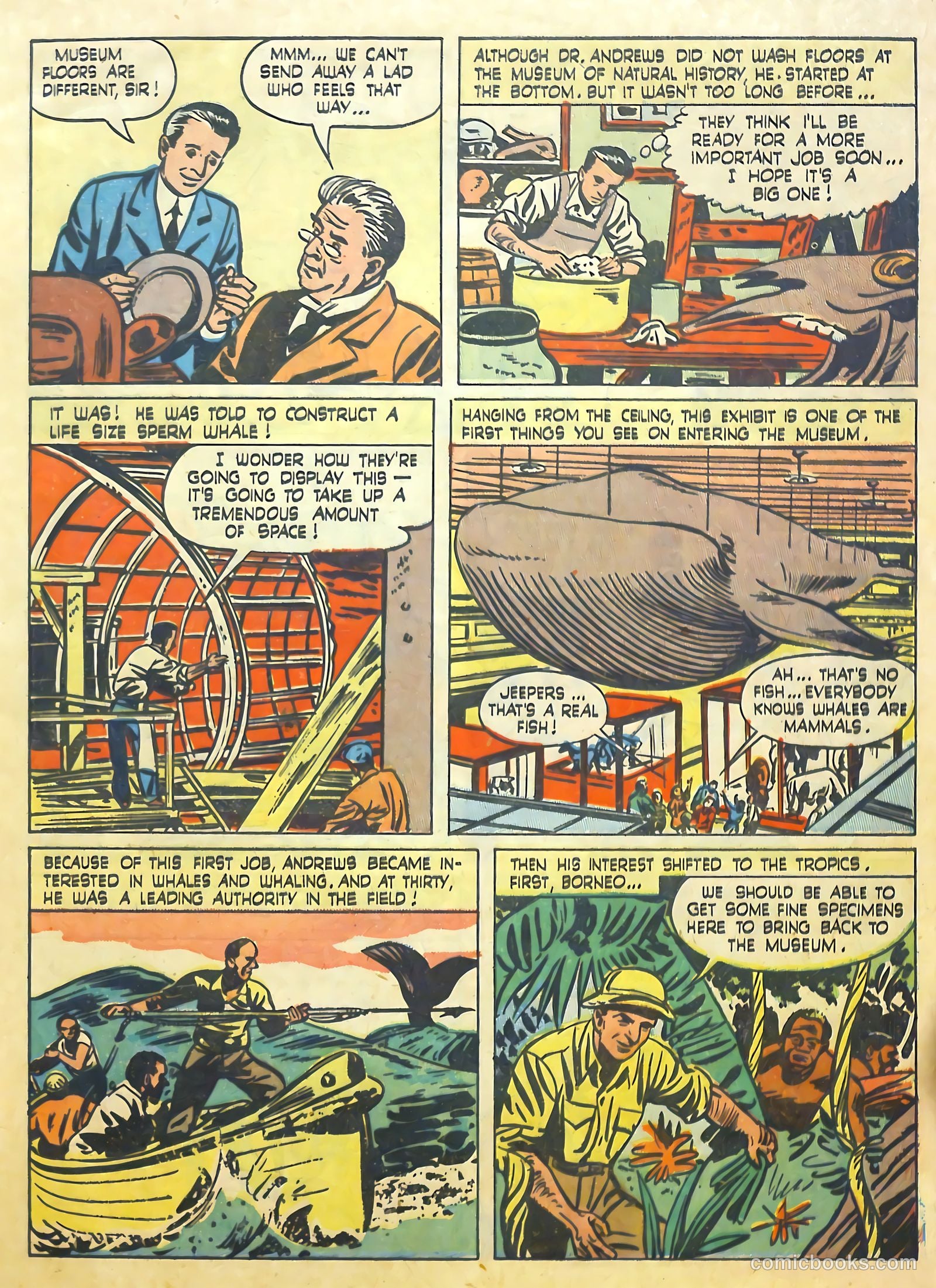 True Comics #81 (1950) — page 16 of 33