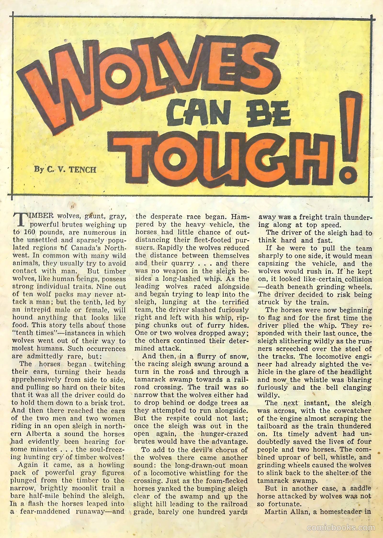 True Comics #82 (1950) — page 17 of 33