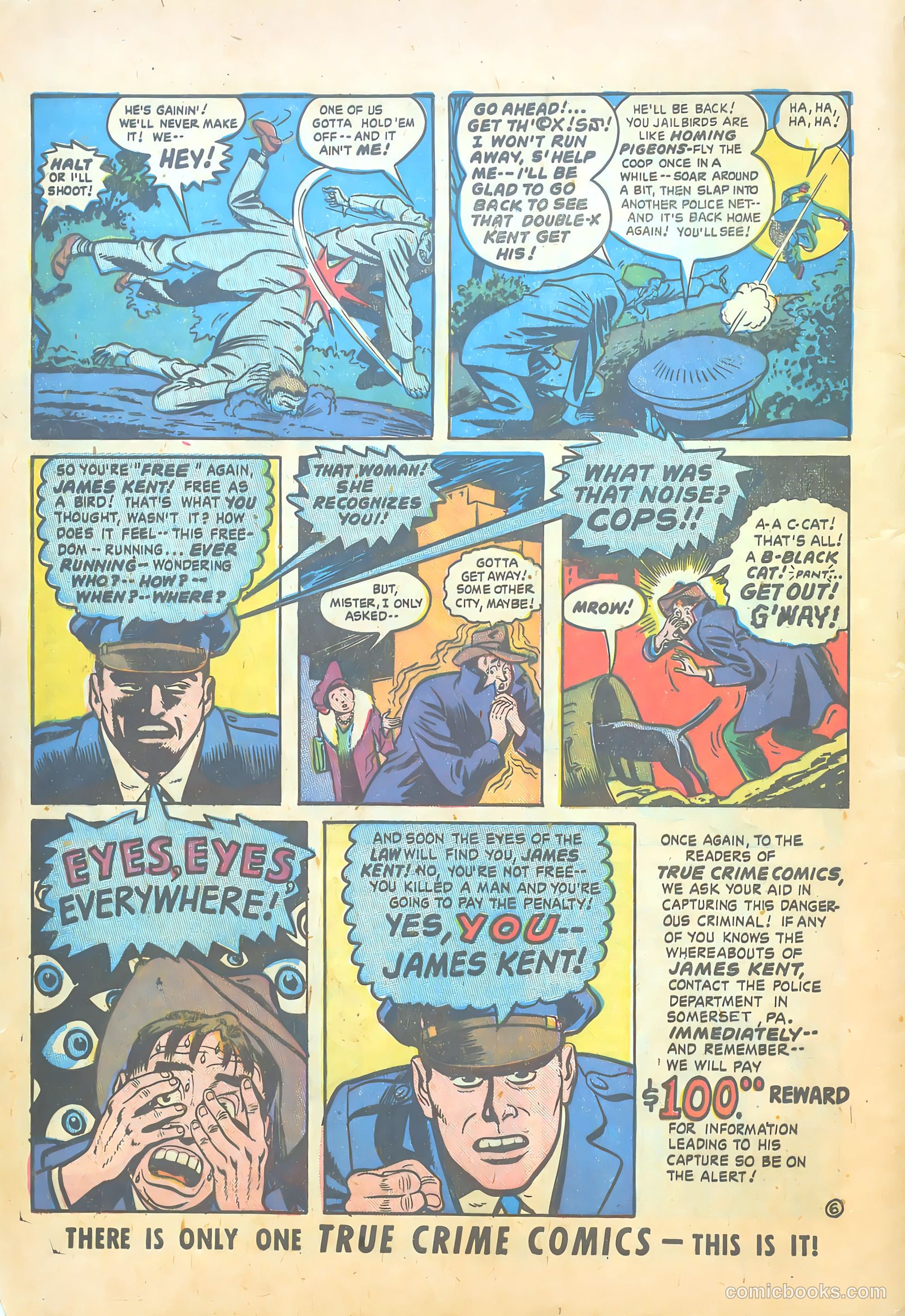 True Crime Comics #2 (1948) — page 8 of 51