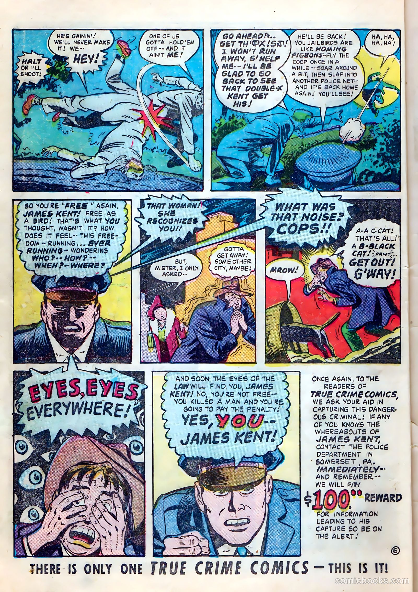 True Crime Comics #4 (1949) — page 8 of 37