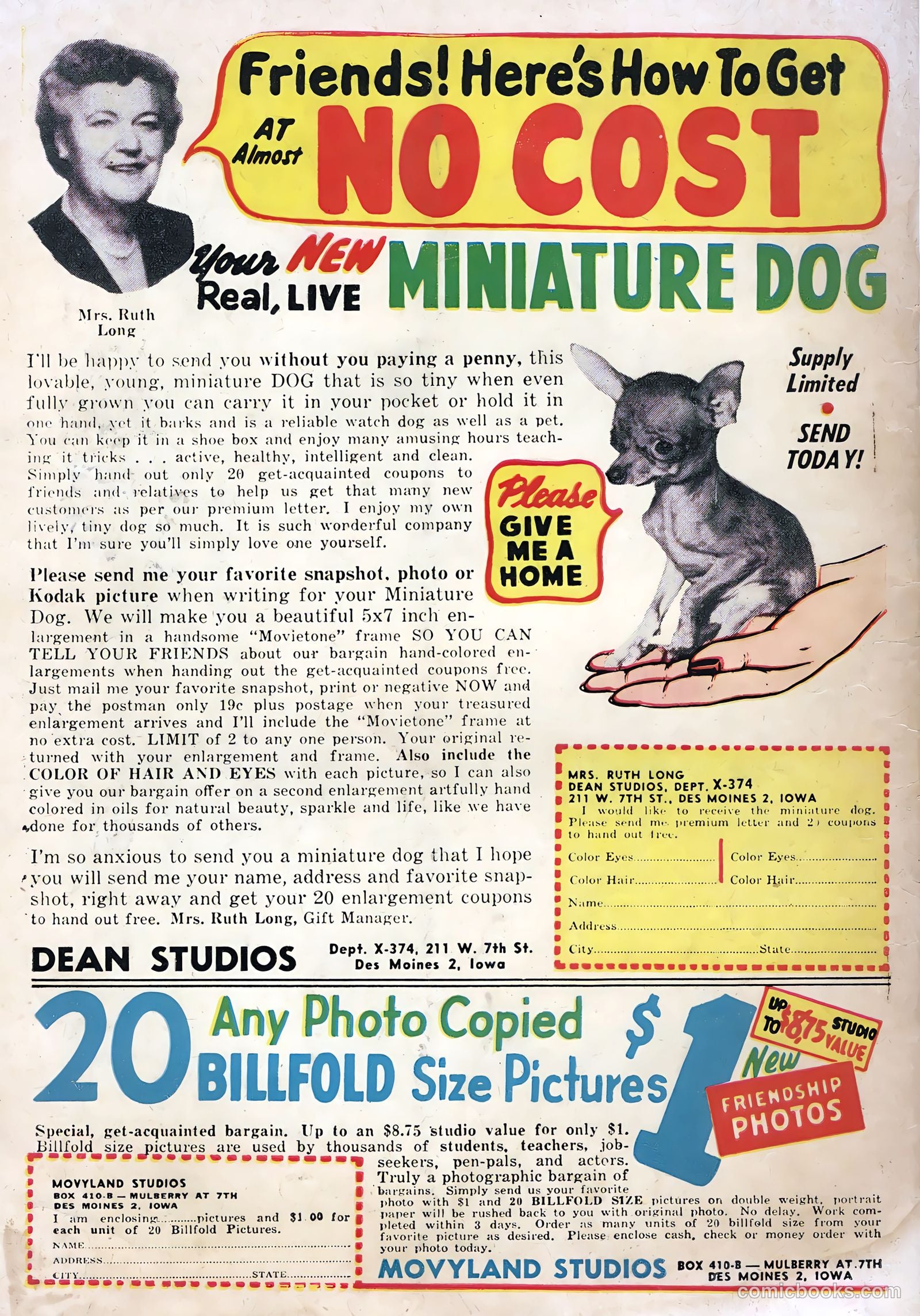 True Life Secrets #20 (1954) — page 36 of 36