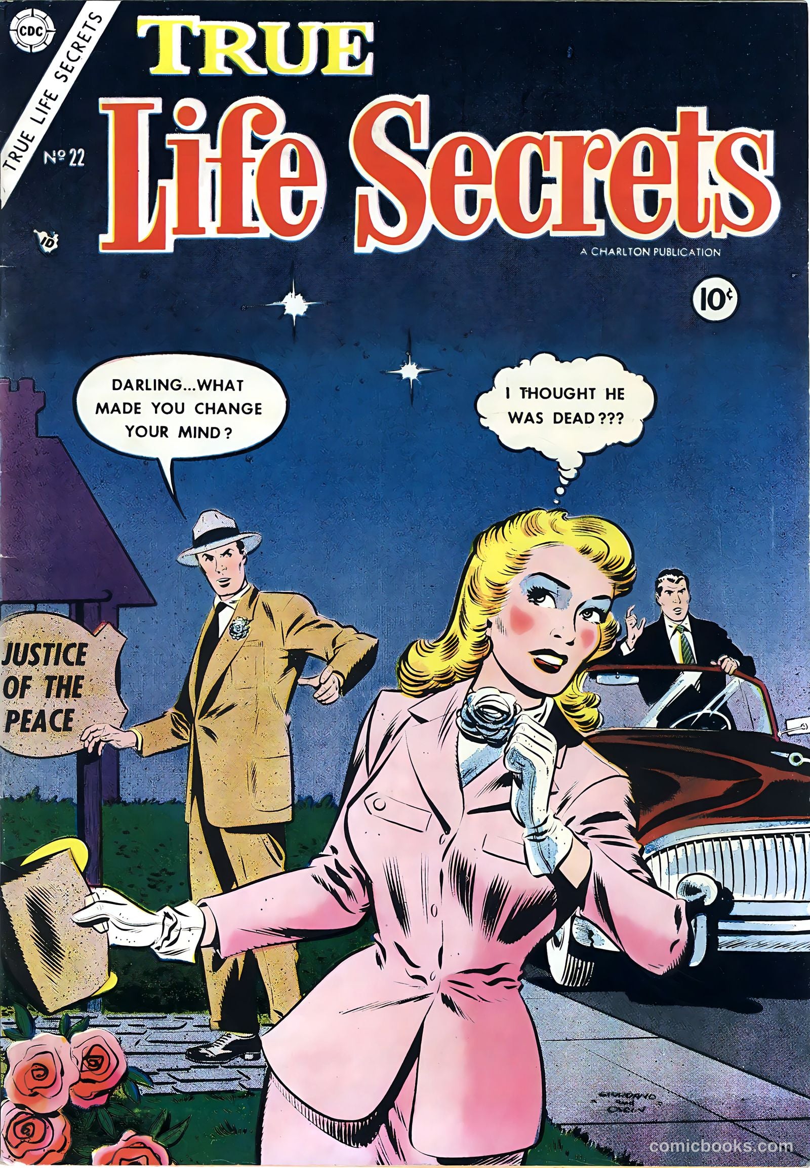 True Life Secrets #22 cover