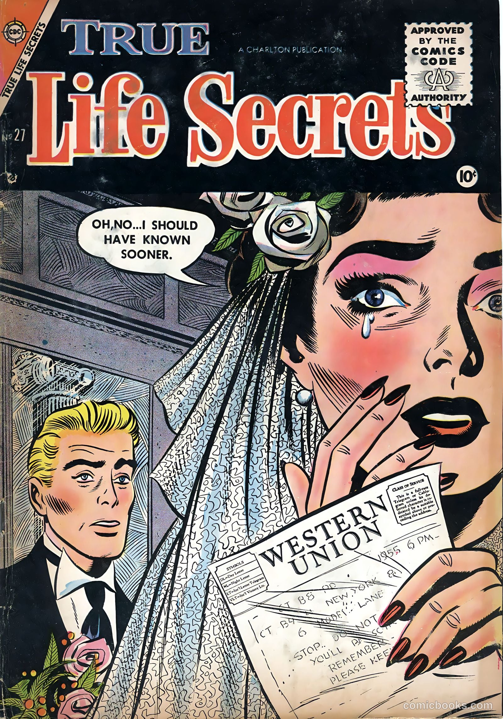 True Life Secrets #27 cover