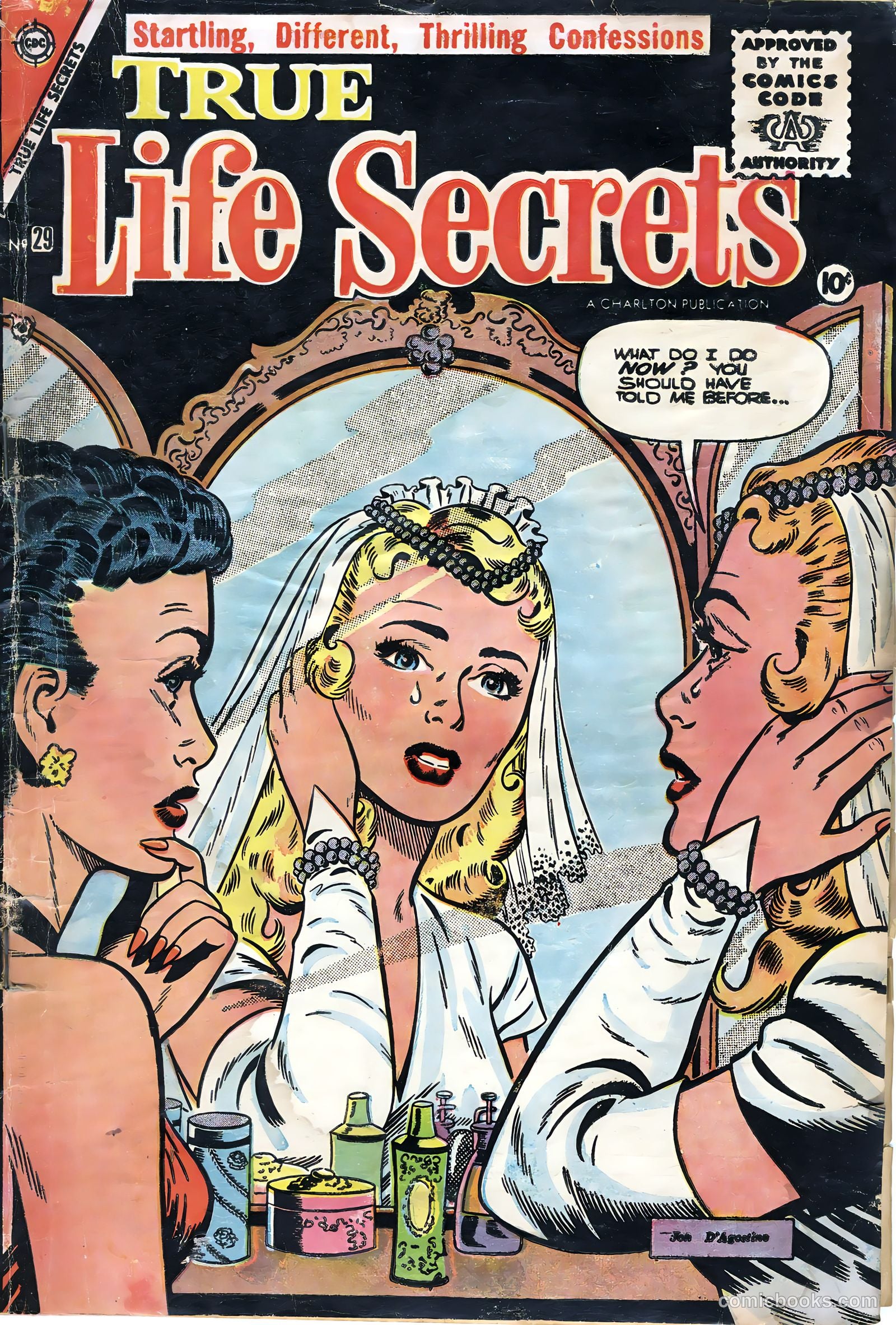 True Life Secrets #29 cover