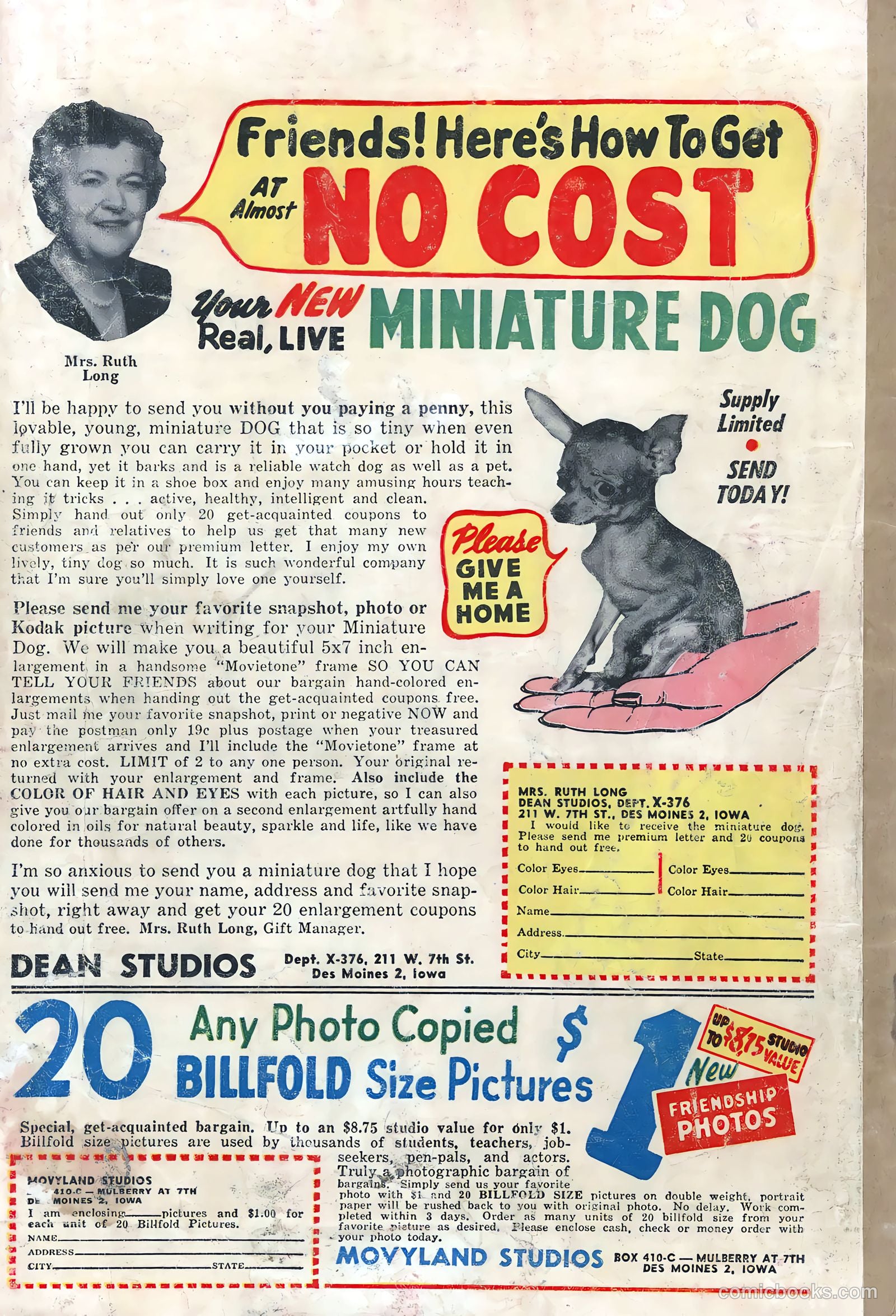 True Love Pictorial #11 (1954) — page 36 of 36