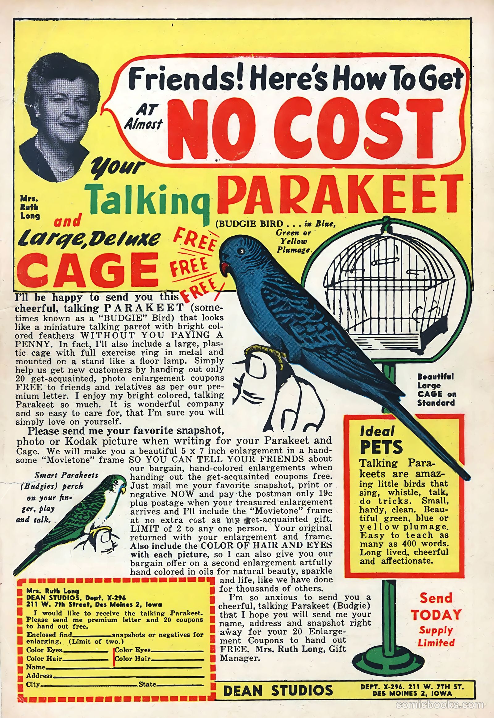 True Love Pictorial #5 (1953) — page 100 of 100