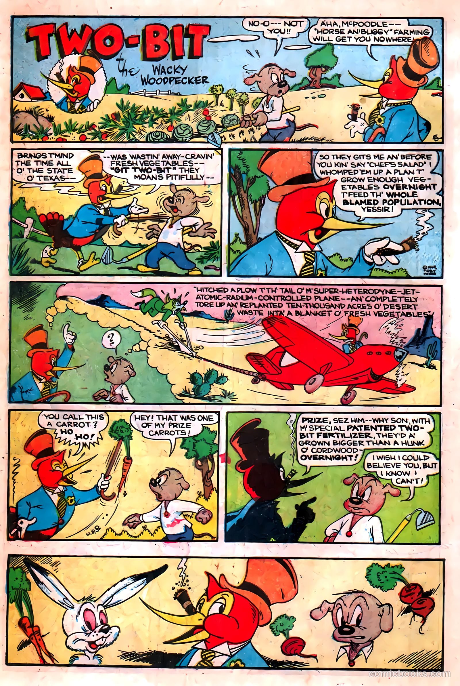 Two-Bit the Wacky Woodpecker #1 (1951) — page 8 of 36