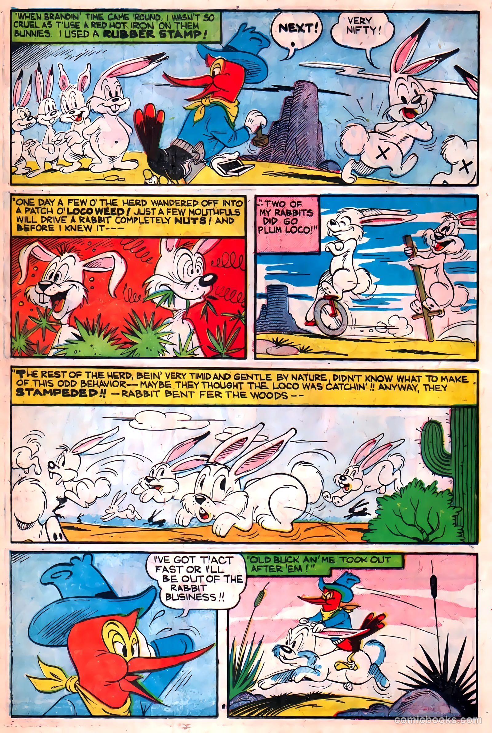 Two-Bit the Wacky Woodpecker #1 (1951) — page 24 of 36