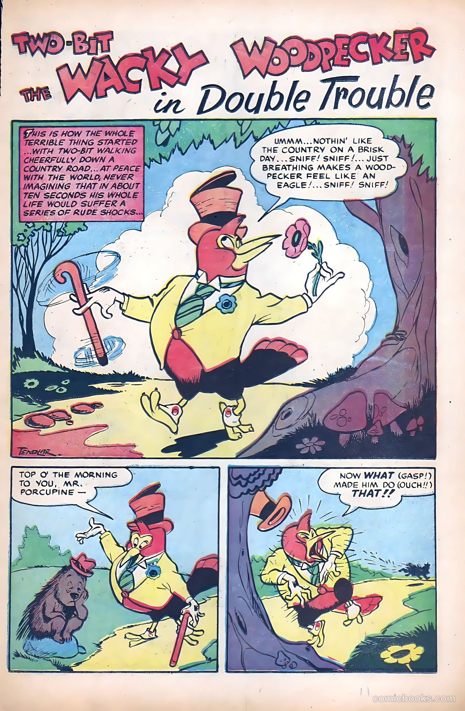 Two-Bit the Wacky Woodpecker #2 (1952) — page 11 of 36