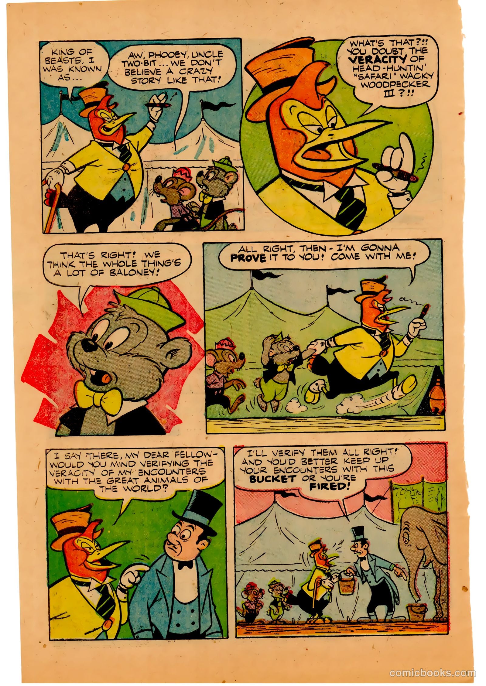 Two-Bit the Wacky Woodpecker #3 (1953) — page 10 of 36