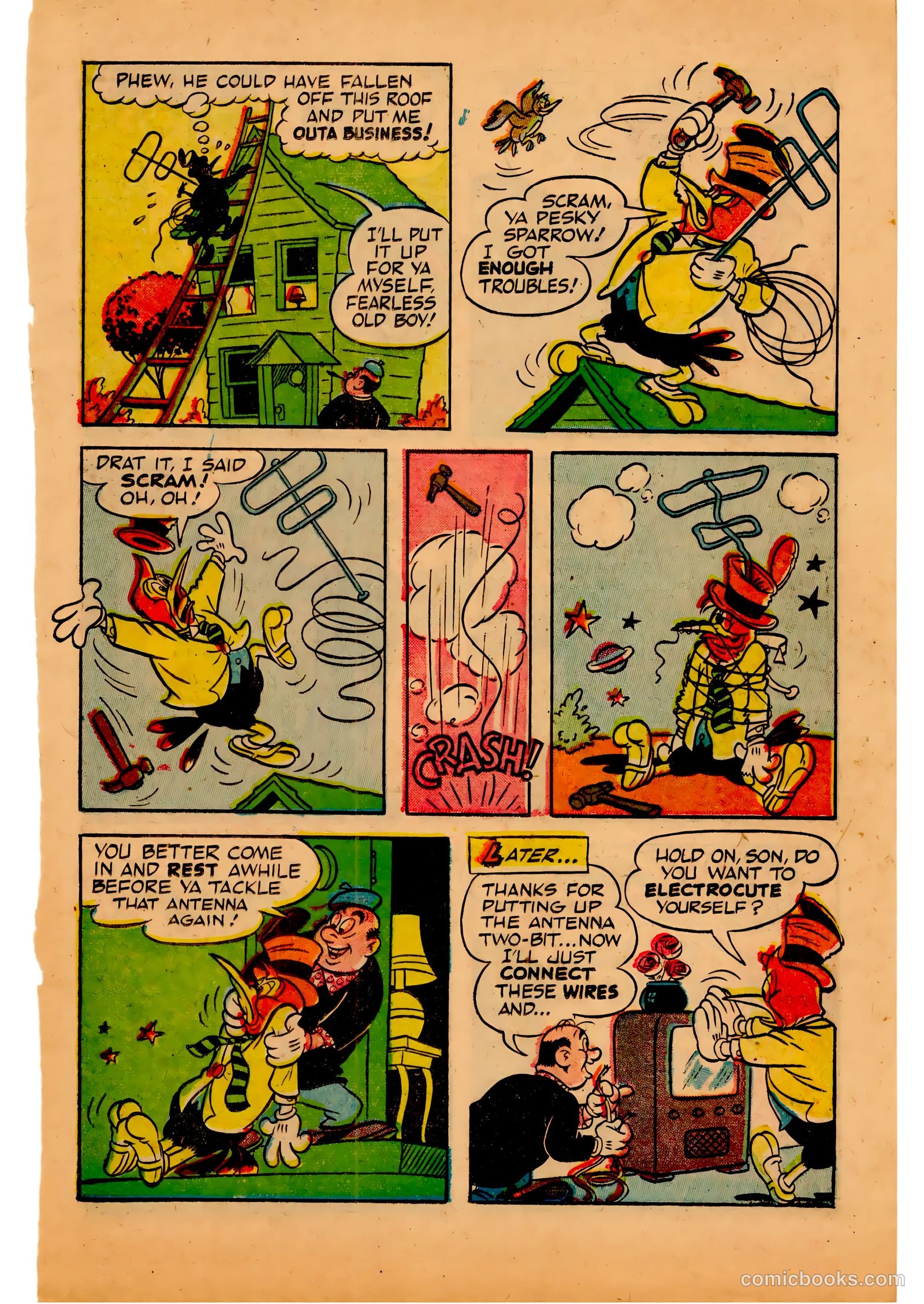 Two-Bit the Wacky Woodpecker #3 (1953) — page 13 of 36