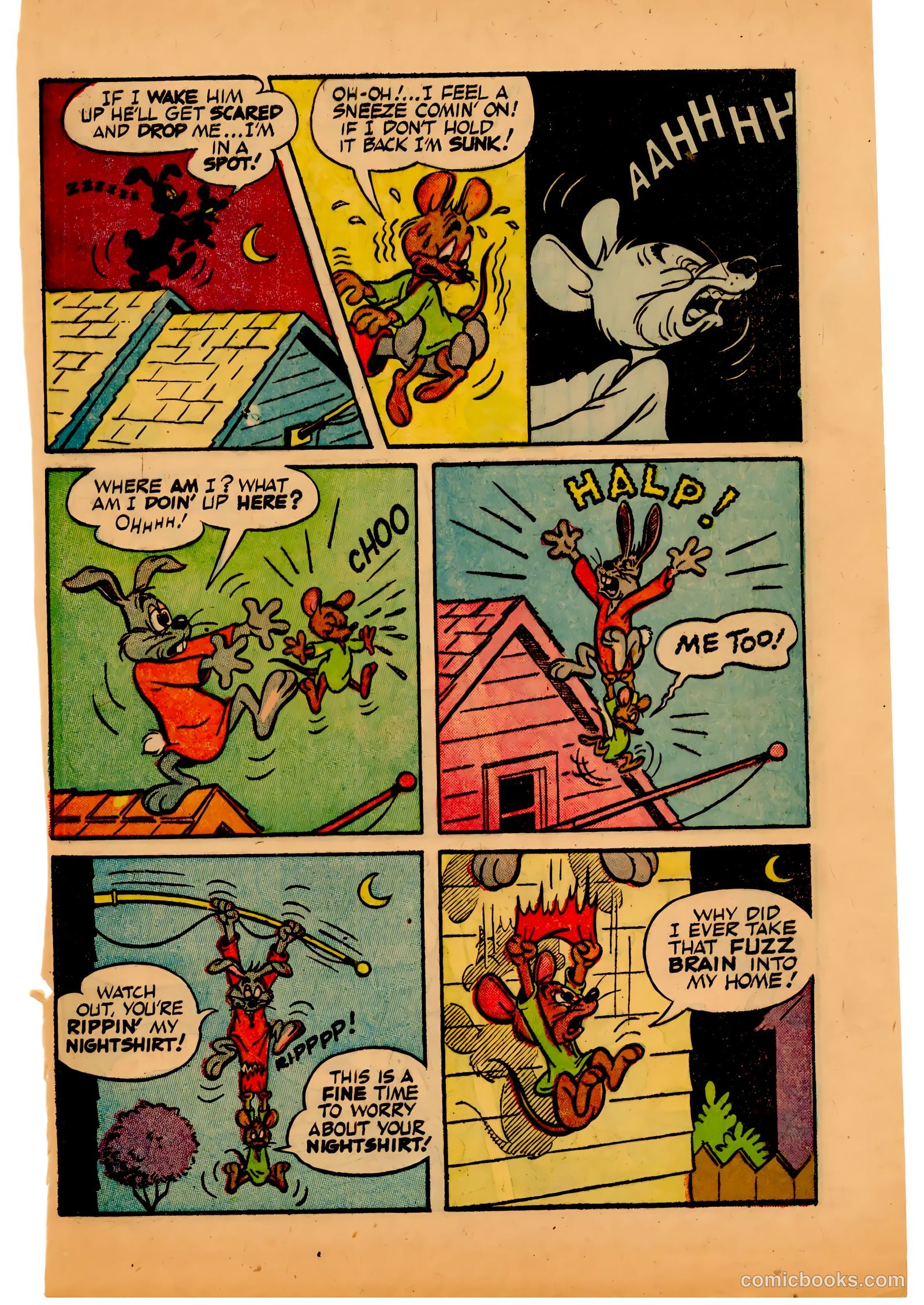 Two-Bit the Wacky Woodpecker #3 (1953) — page 31 of 36