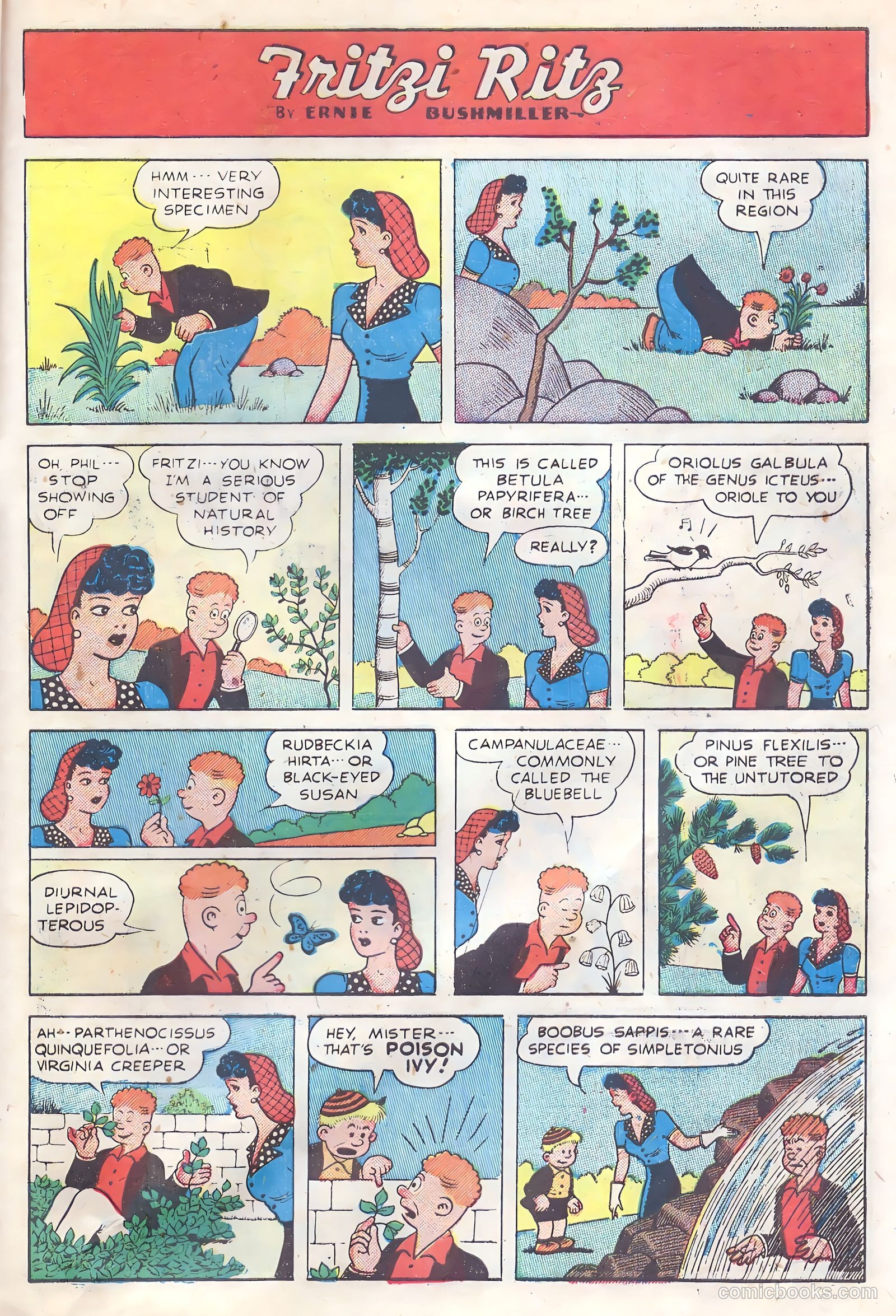 United Comics #16 (1951) — page 27 of 37