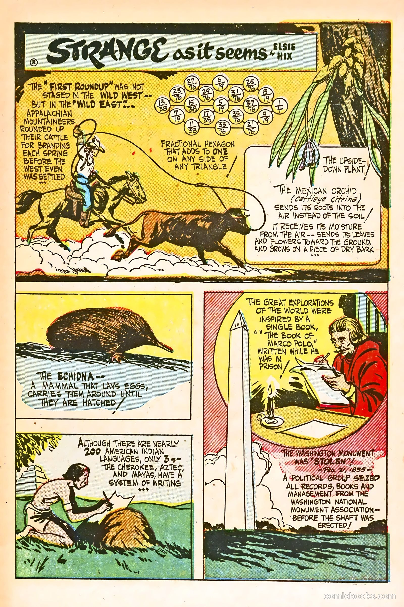 United Comics #22 (1952) — page 7 of 34