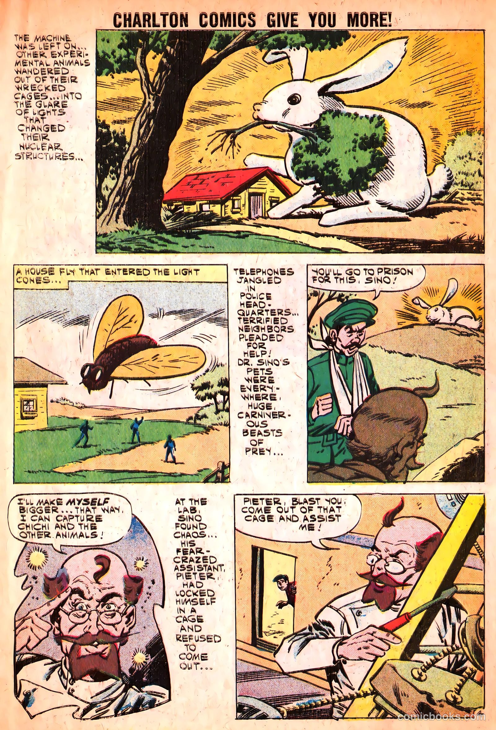 Unusual Tales #27 (1961) — page 7 of 37