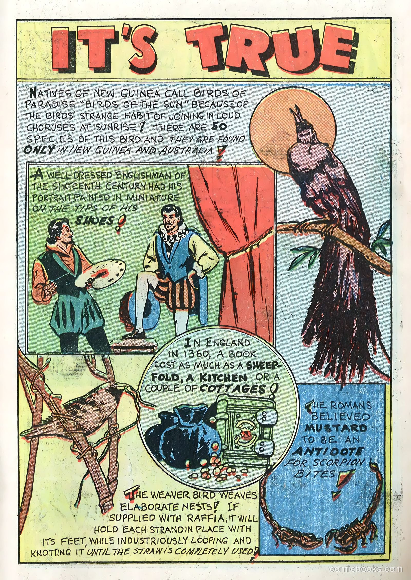 Variety Comics #3 (1946) — page 23 of 52