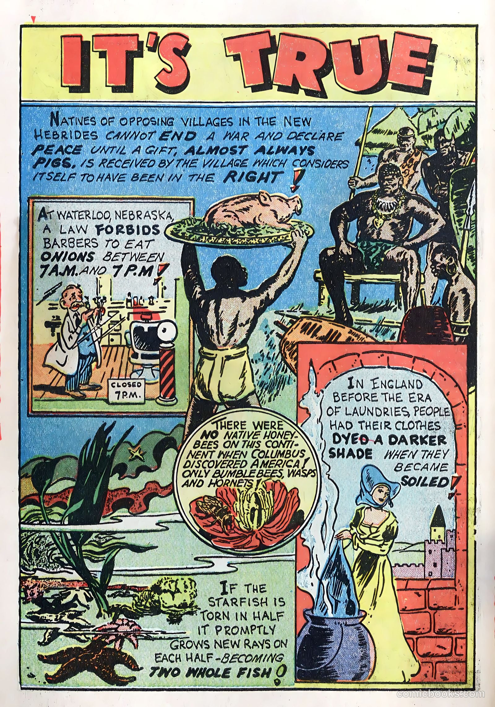 Variety Comics #3 (1946) — page 42 of 52