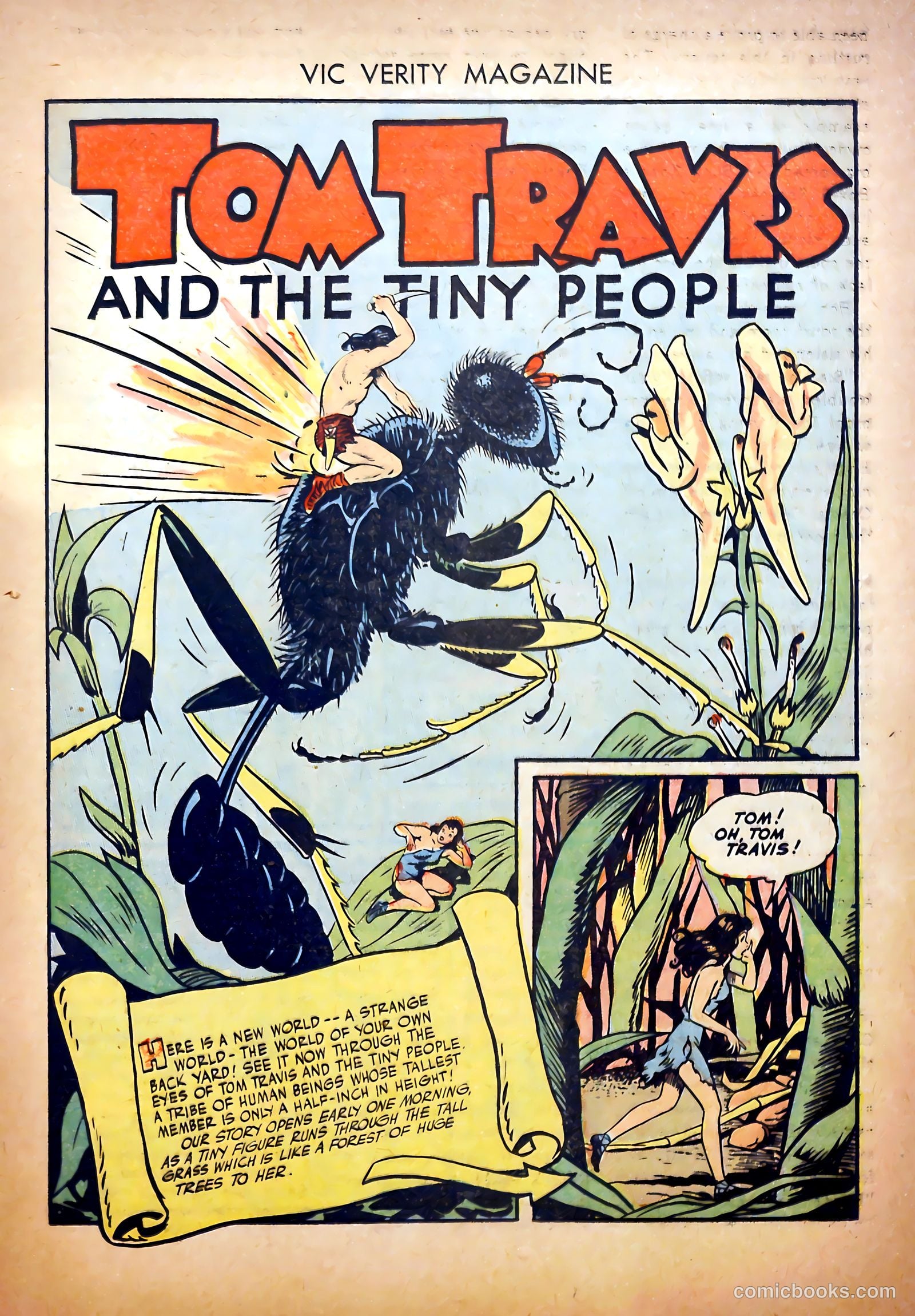 Vic Verity Magazine #1 (1945) — page 25 of 37