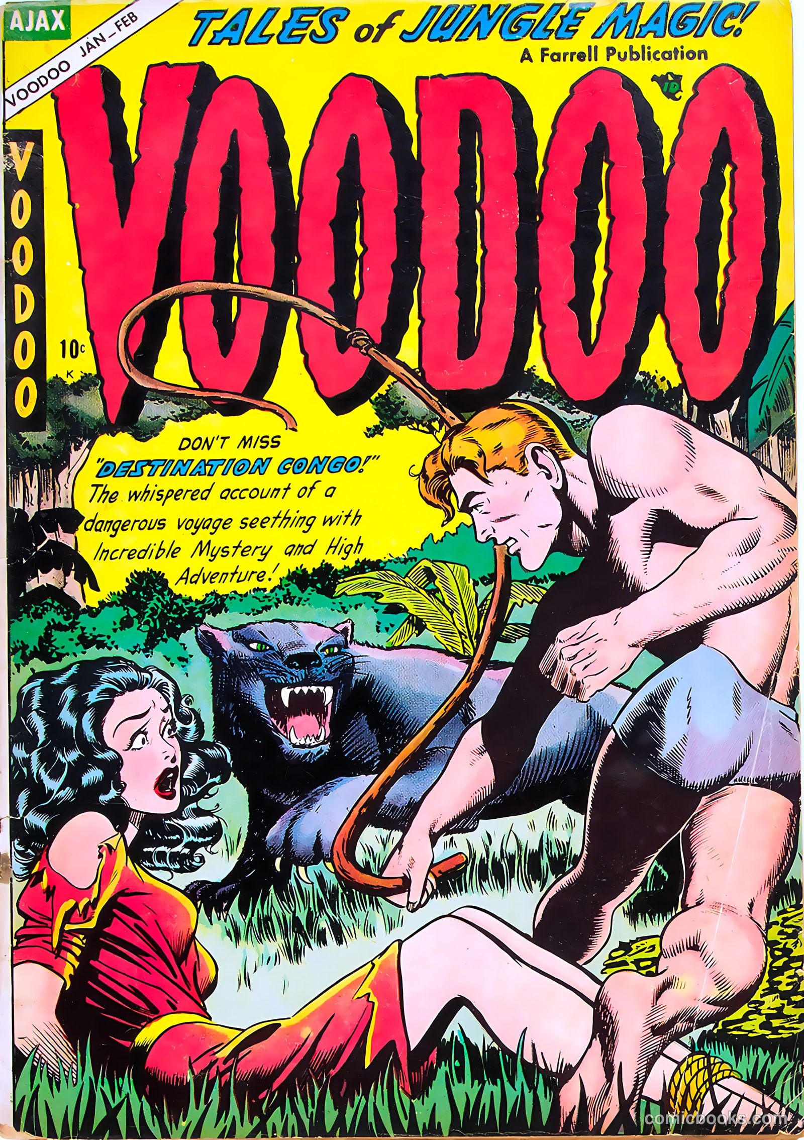 Voodoo #19