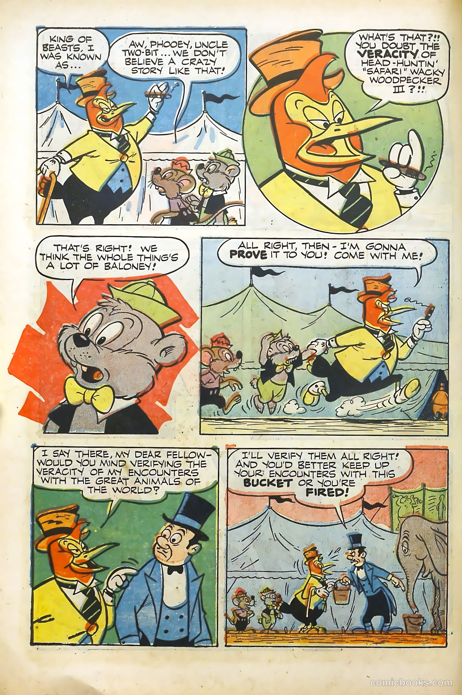 Wacky Woodpecker #10 (1963) — page 10 of 36