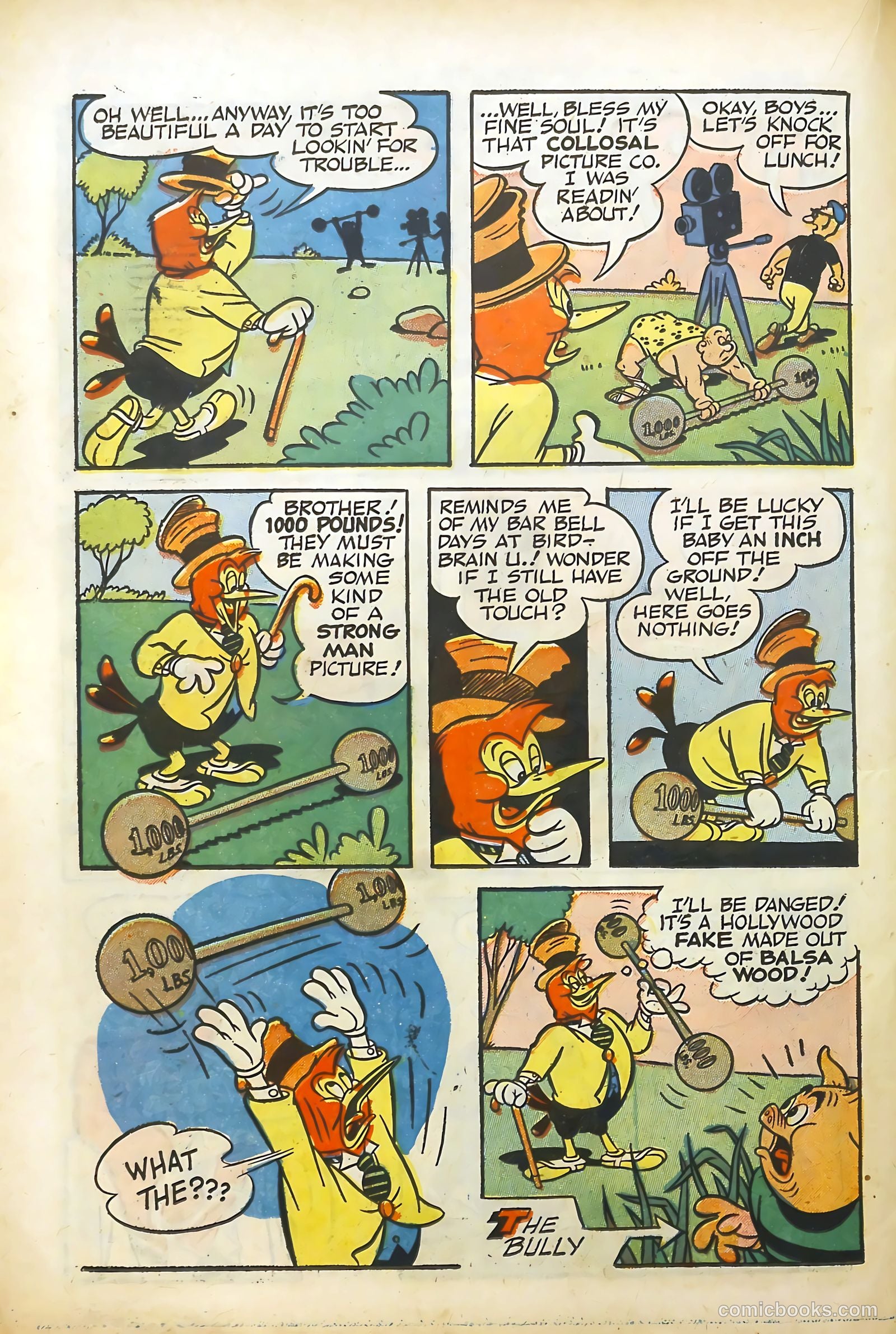Wacky Woodpecker #10 (1963) — page 22 of 36