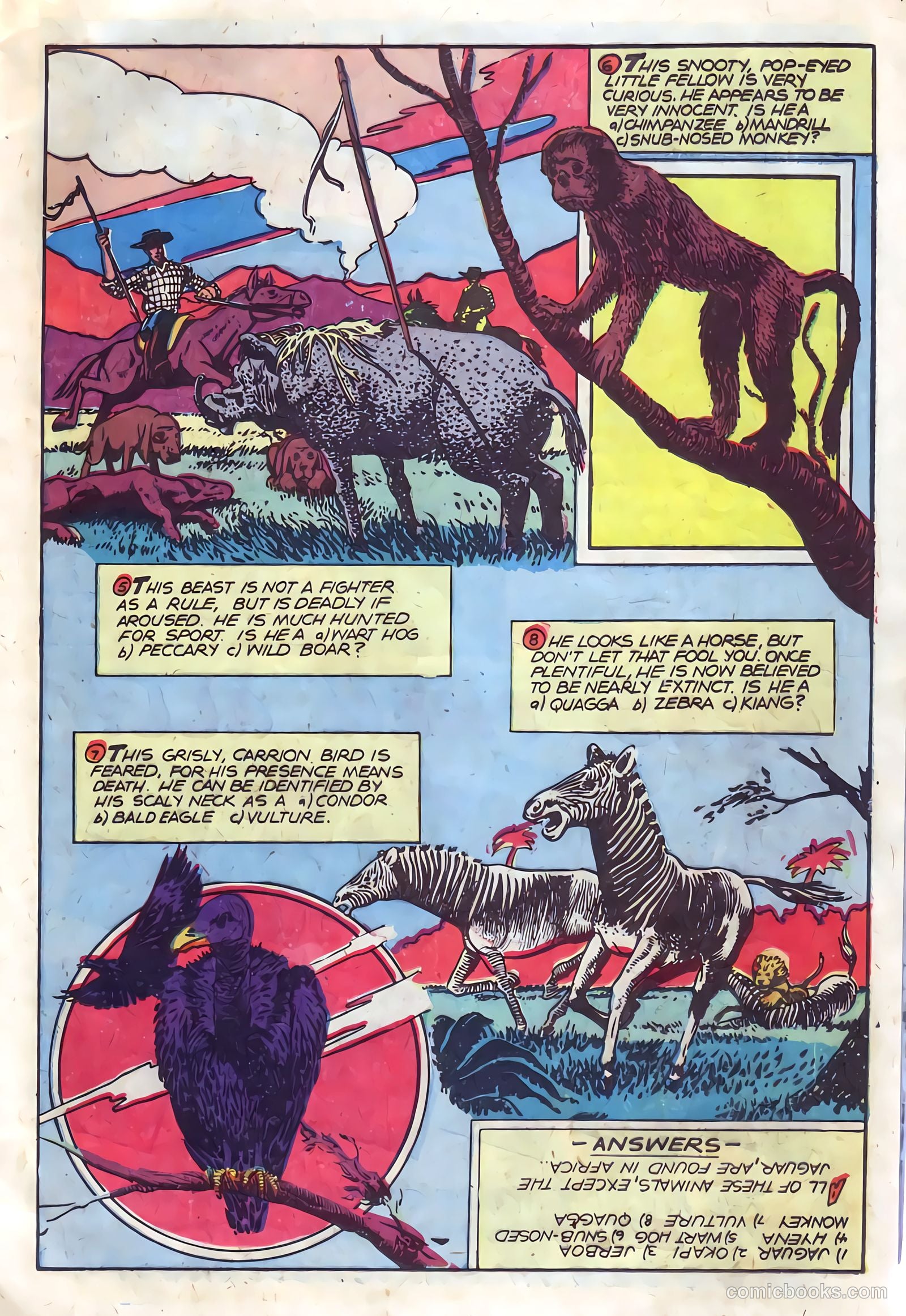 Wambi, Jungle Boy #11 (1951) — page 13 of 36