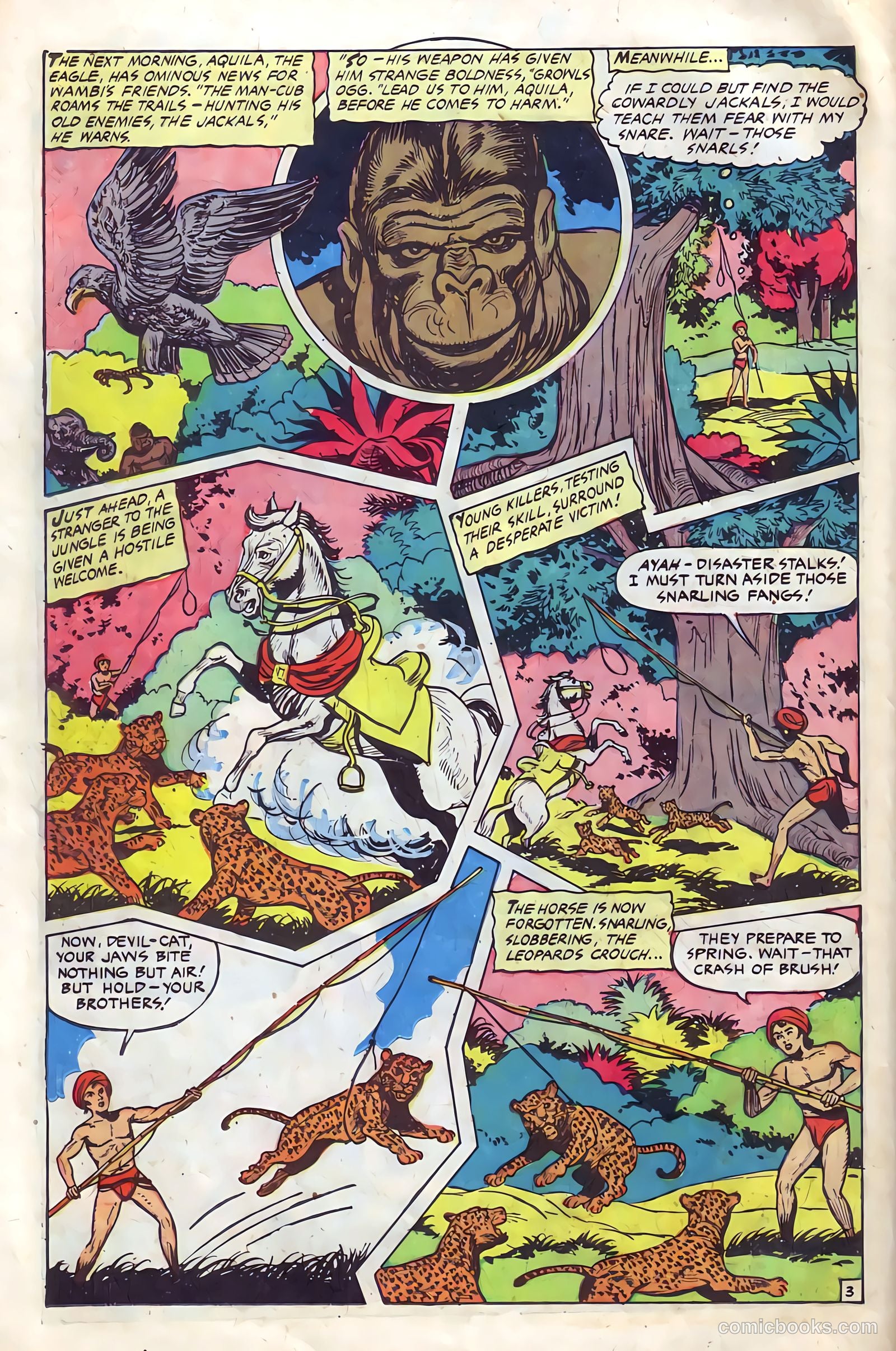 Wambi, Jungle Boy #11 (1951) — page 26 of 36
