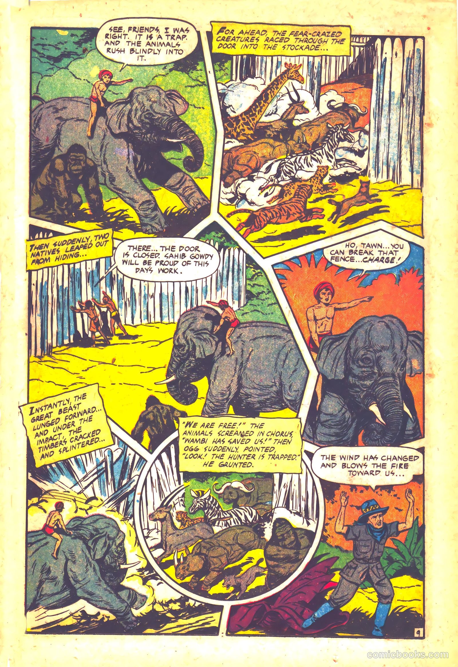 Wambi, Jungle Boy #12 (1951) — page 12 of 36