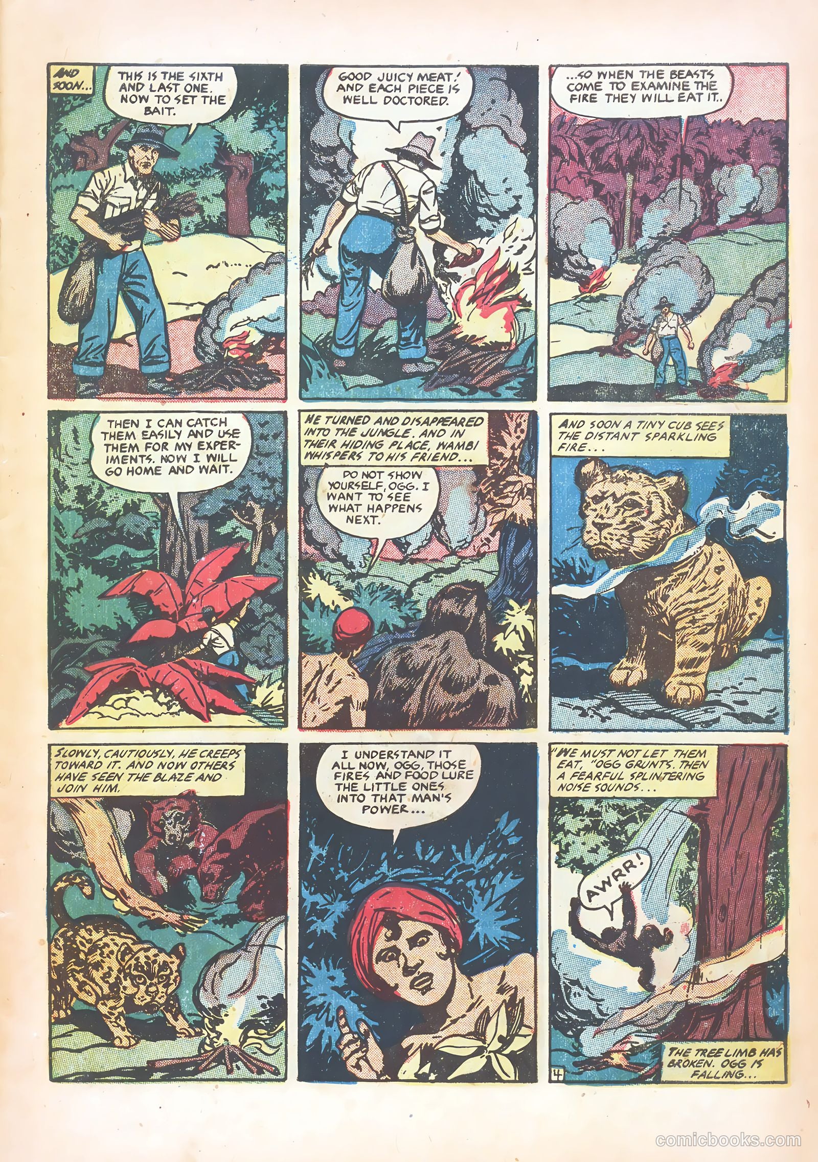 Wambi, Jungle Boy #15 (1952) — page 7 of 36