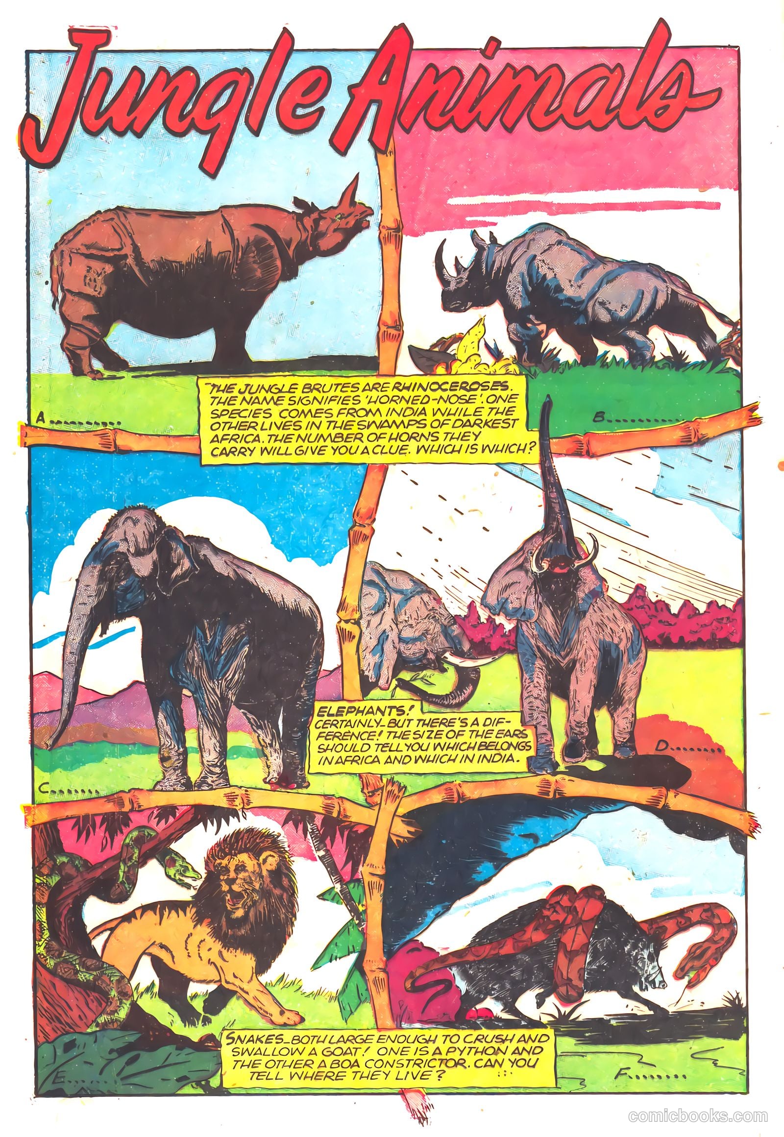 Wambi, Jungle Boy #16 (1952) — page 12 of 36