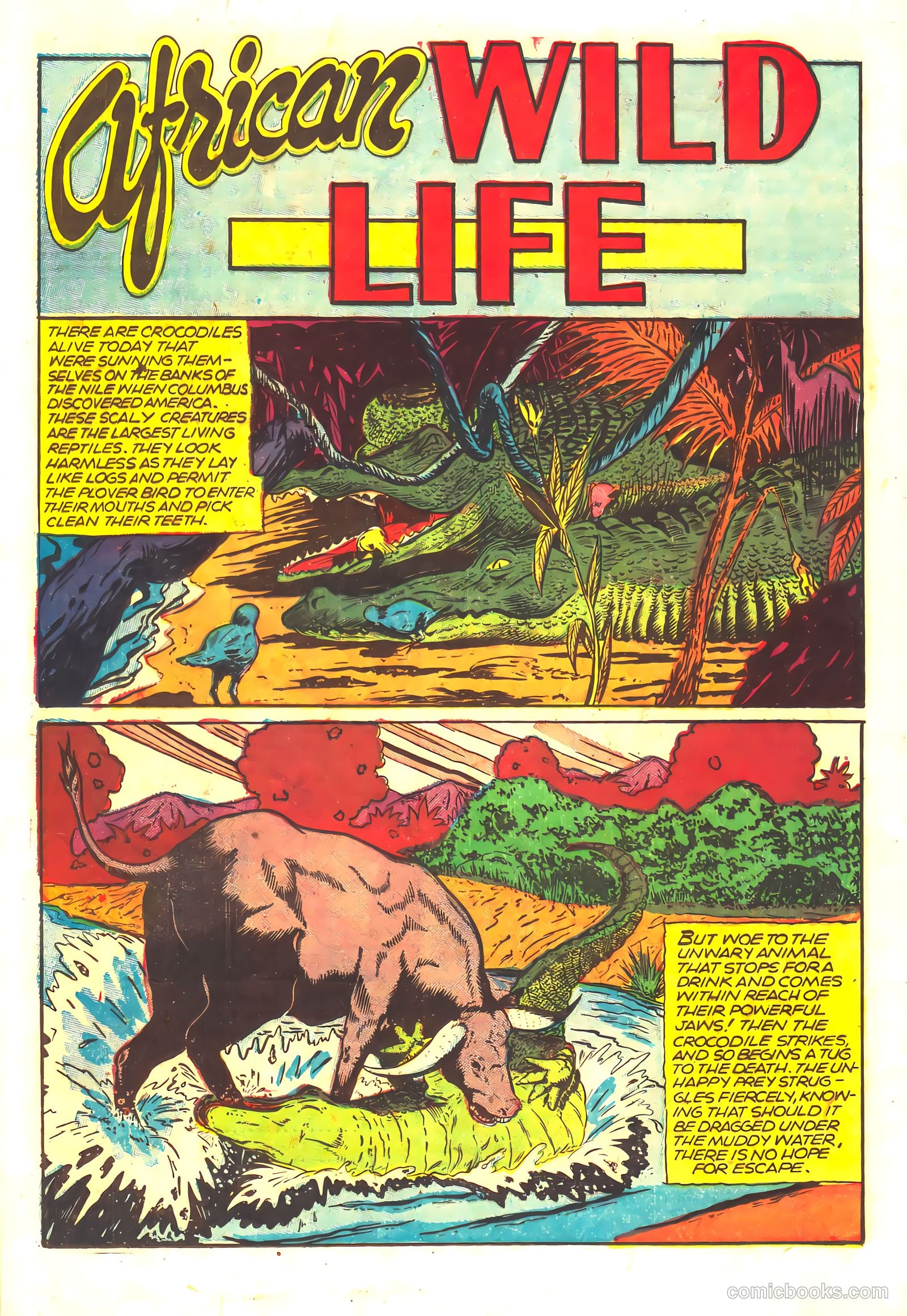 Wambi, Jungle Boy #16 (1952) — page 20 of 36