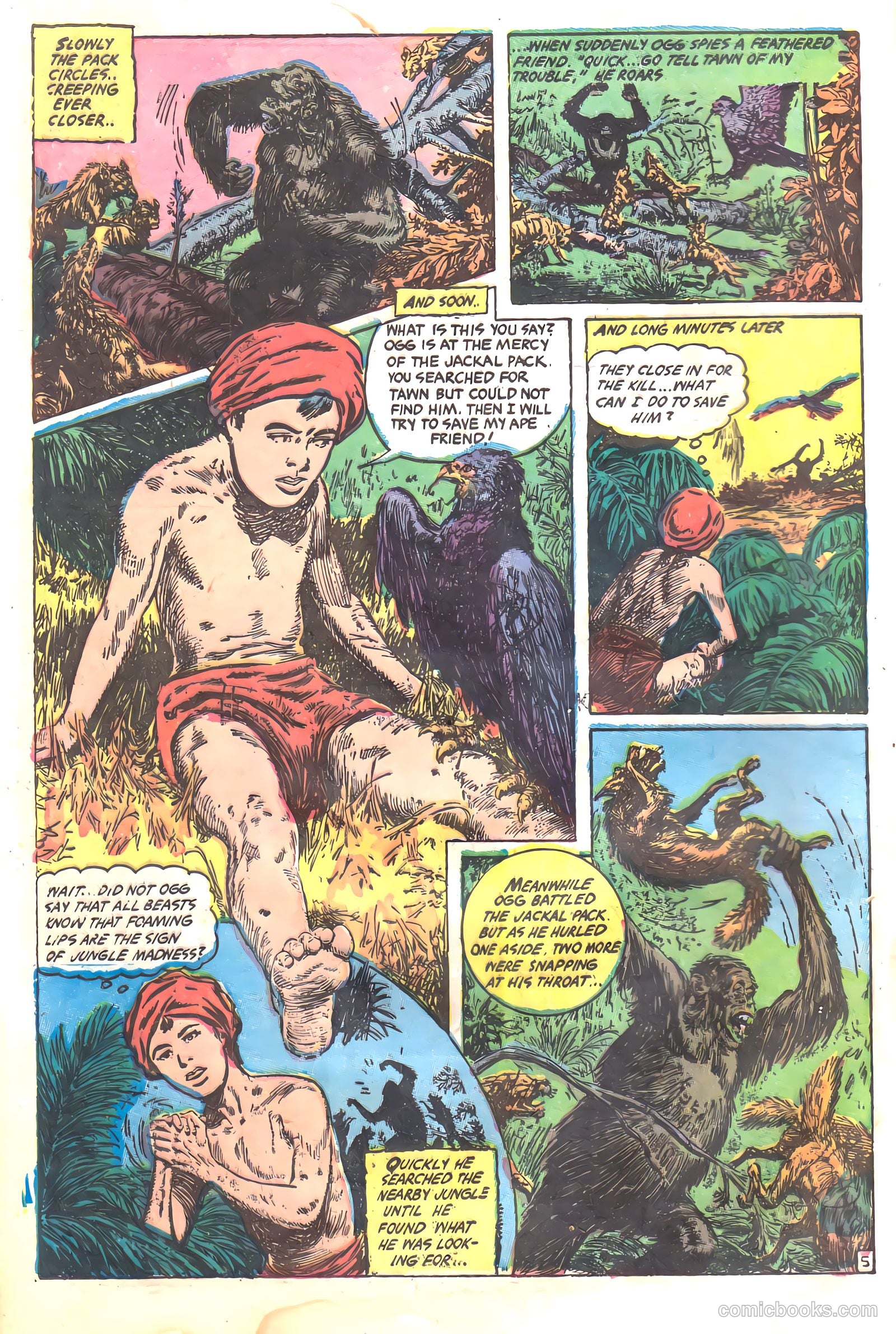 Wambi, Jungle Boy #17 (1952) — page 8 of 36