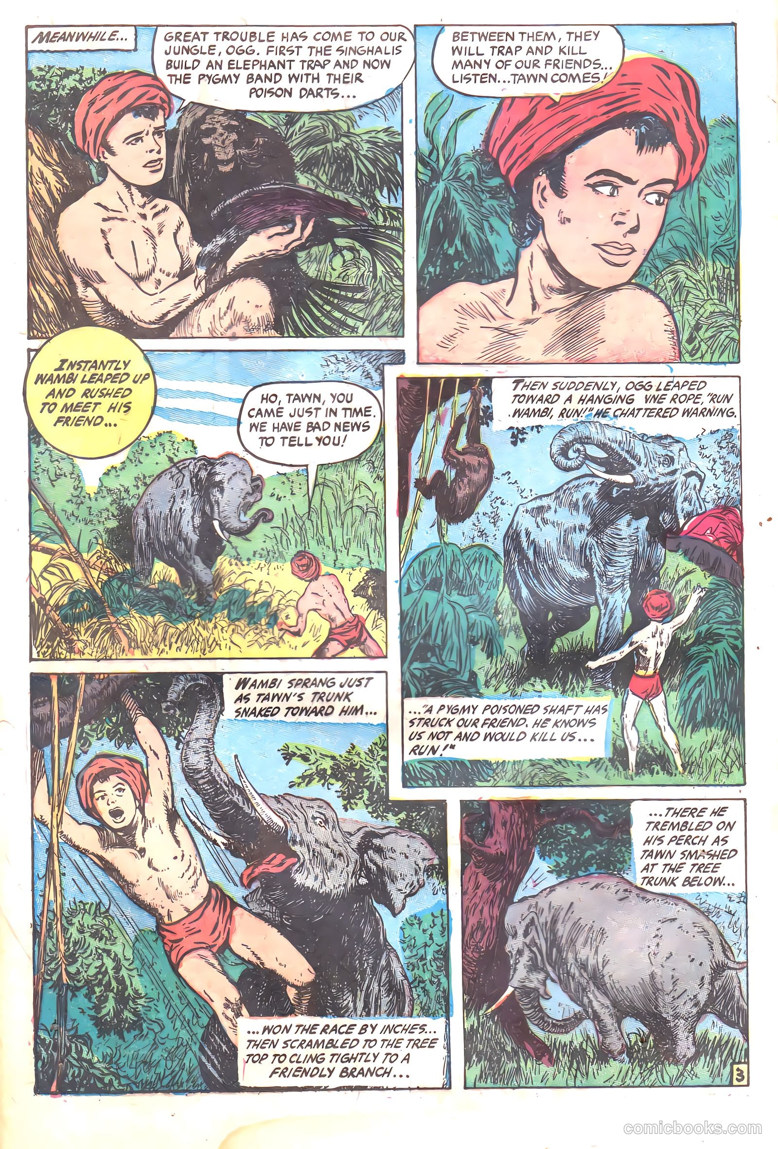 Wambi, Jungle Boy #17 (1952) — page 12 of 36