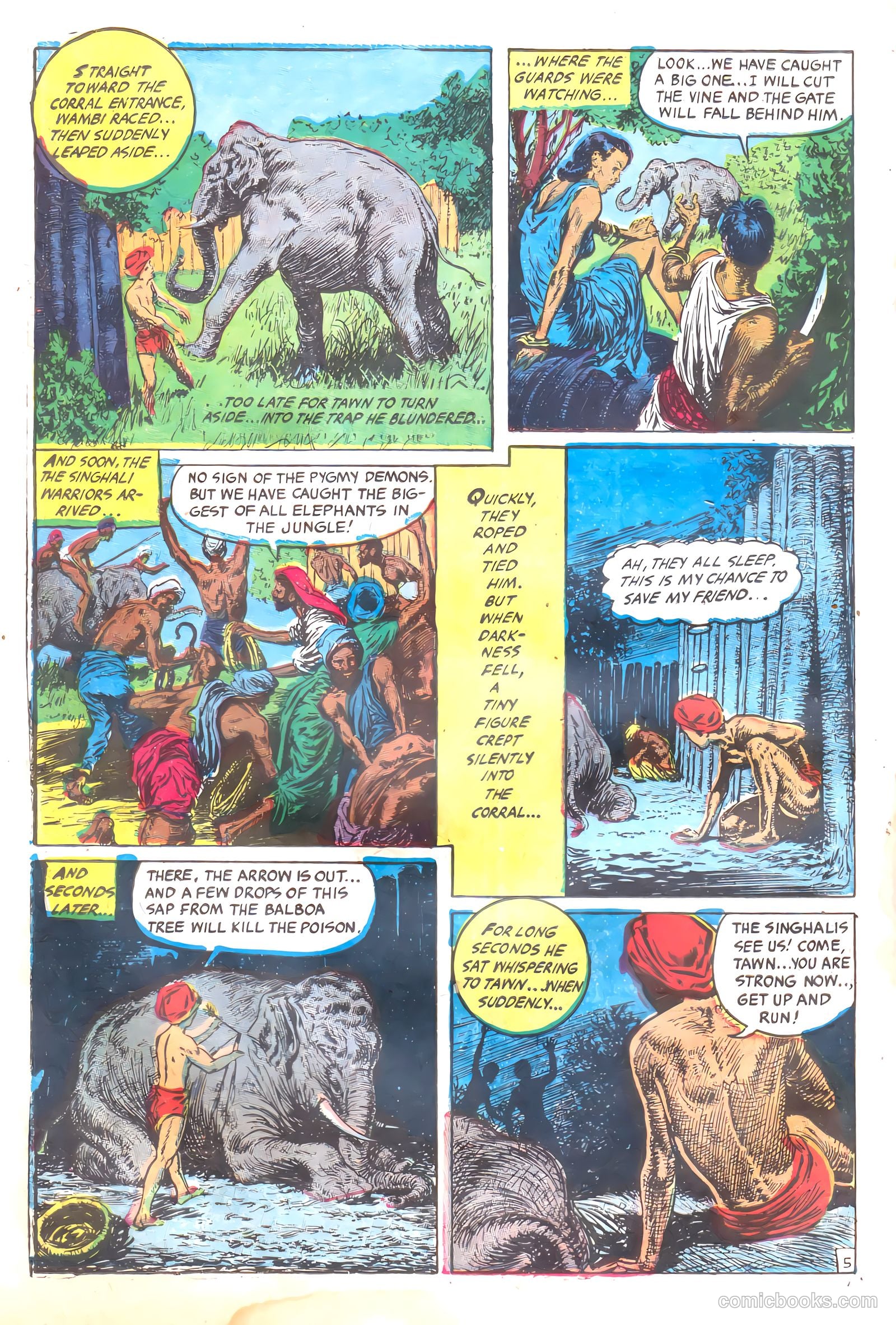 Wambi, Jungle Boy #17 (1952) — page 14 of 36
