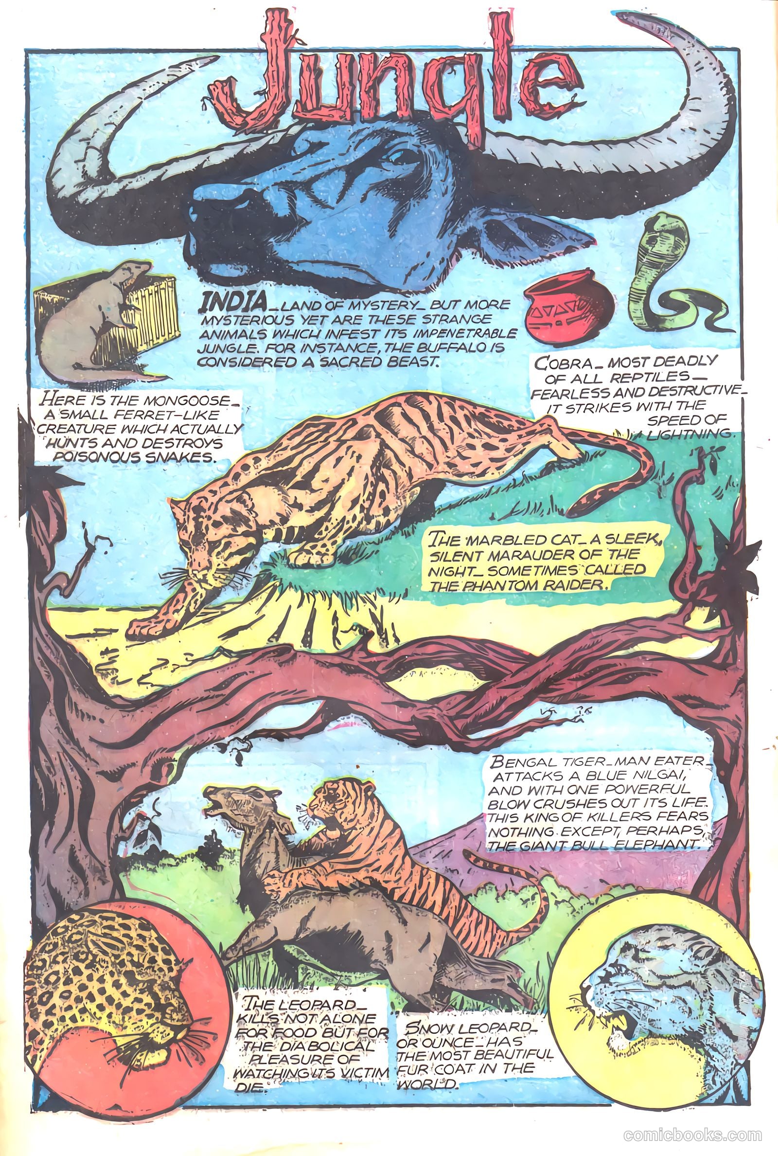 Wambi, Jungle Boy #17 (1952) — page 16 of 36