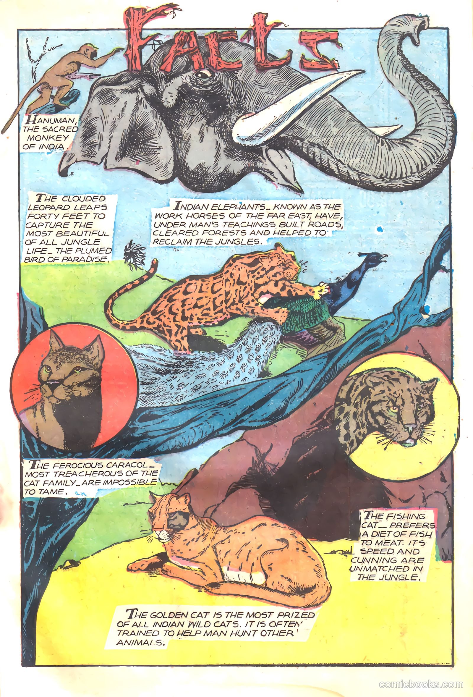 Wambi, Jungle Boy #17 (1952) — page 17 of 36