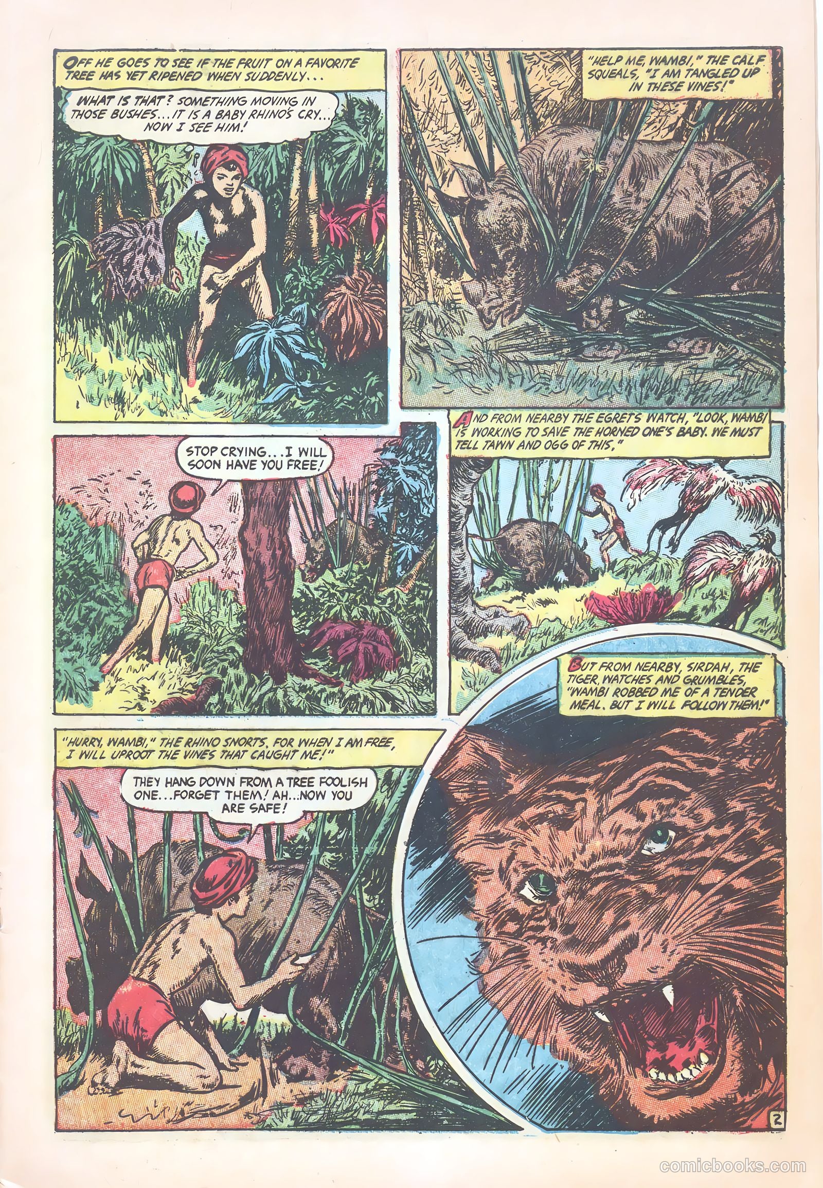 Wambi, Jungle Boy #18 (1952) — page 5 of 36