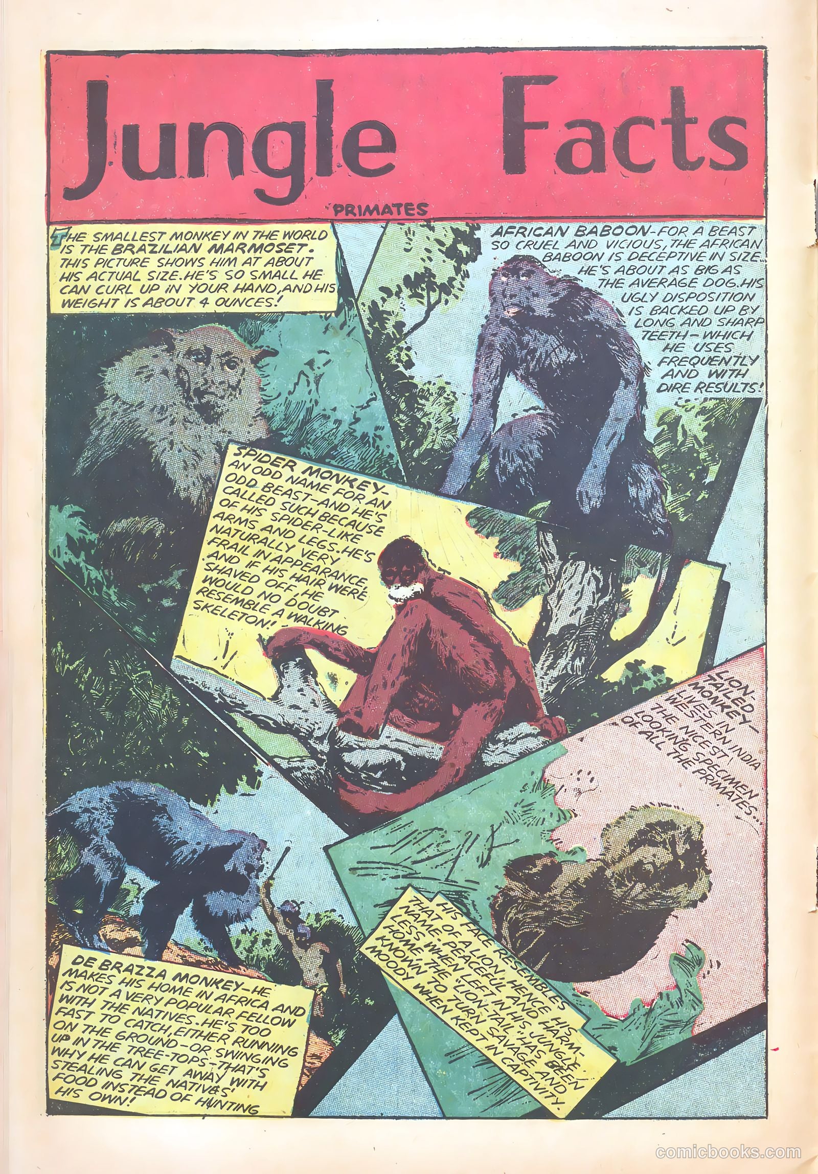 Wambi, Jungle Boy #18 (1952) — page 10 of 36