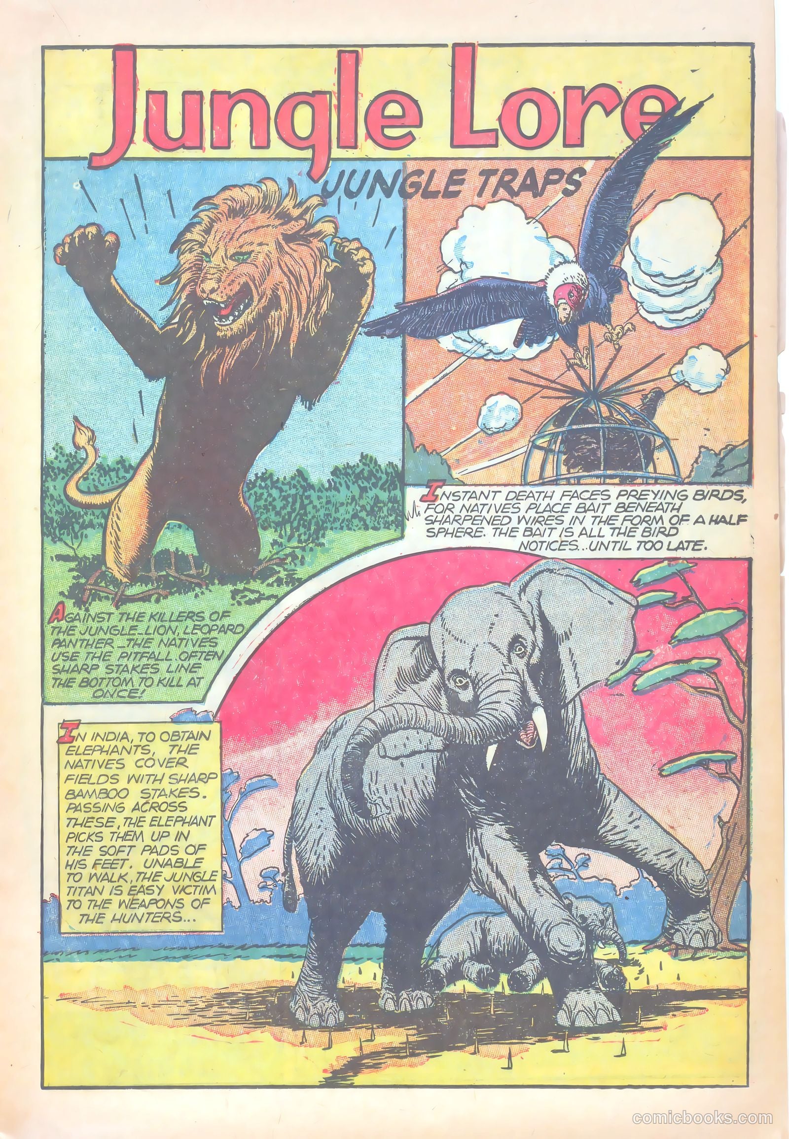 Wambi, Jungle Boy #18 (1952) — page 17 of 36