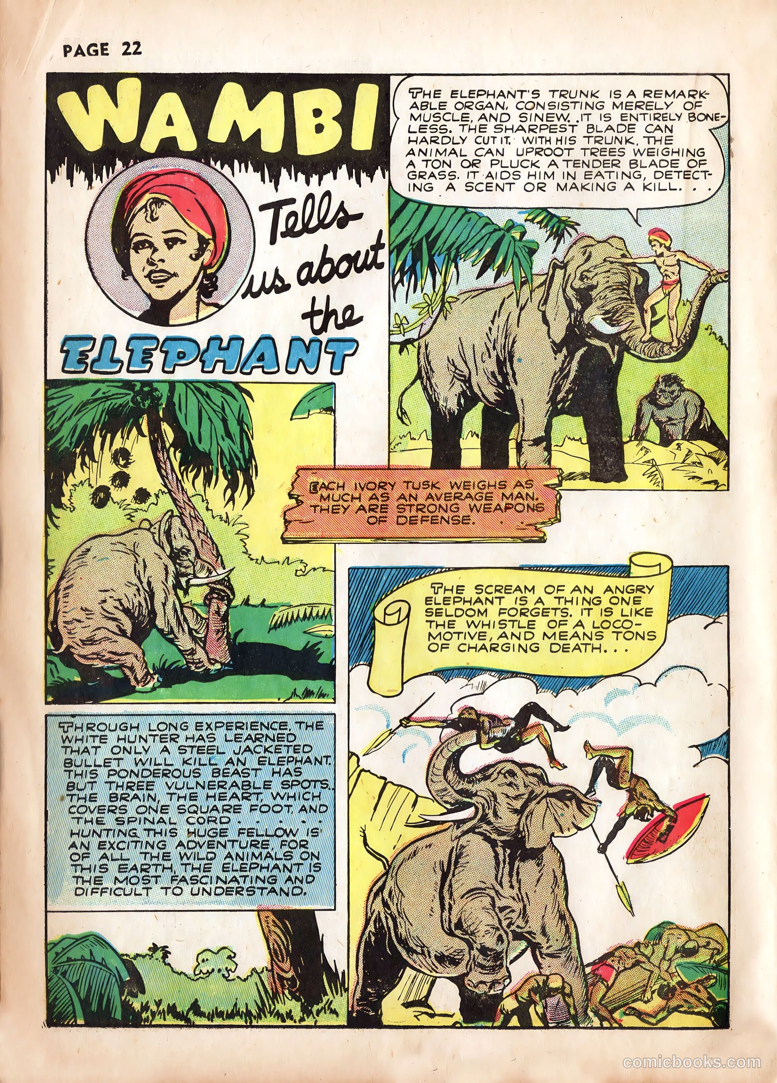 Wambi, Jungle Boy #2 (1942) — page 24 of 68