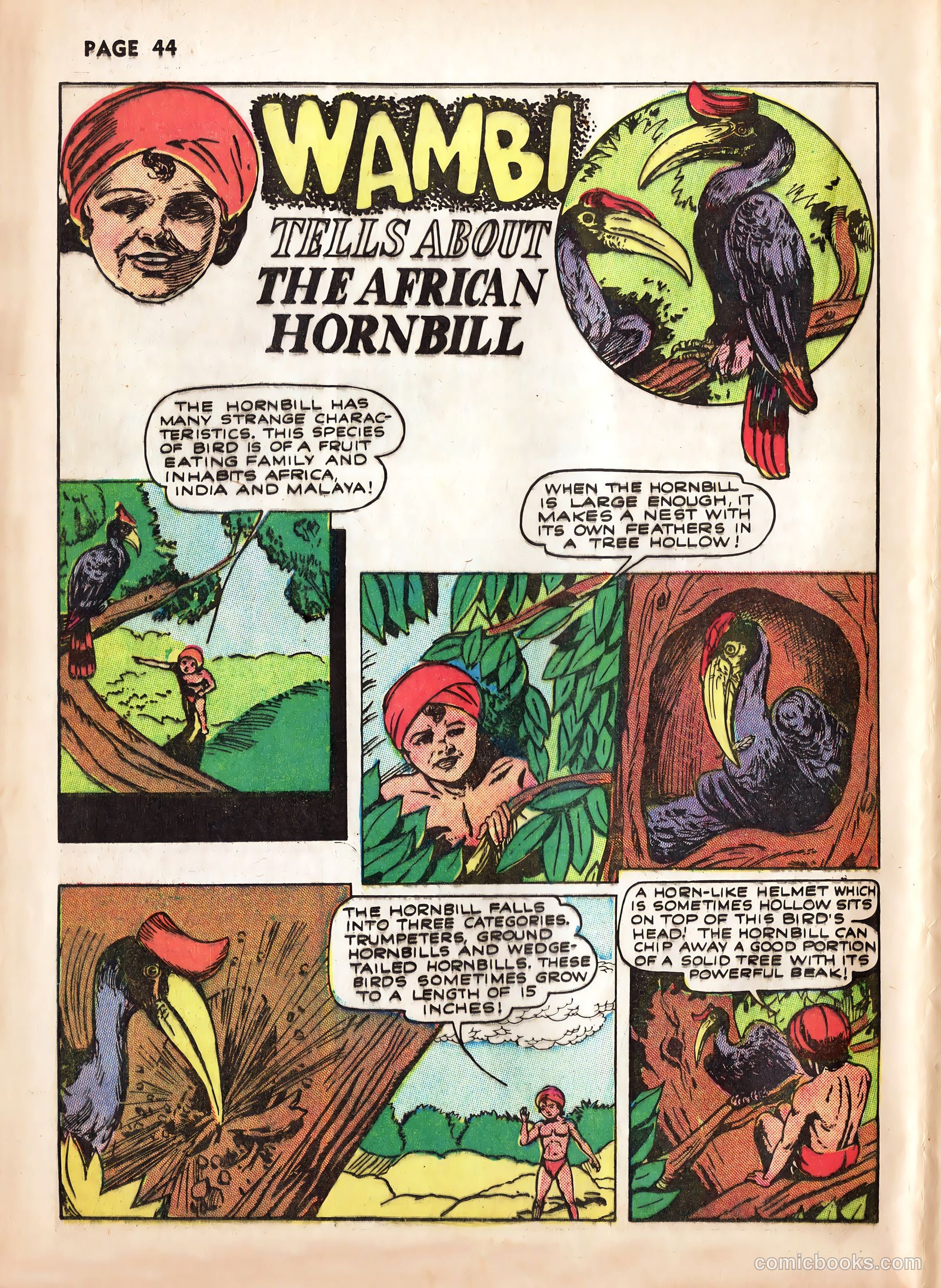 Wambi, Jungle Boy #2 (1942) — page 46 of 68