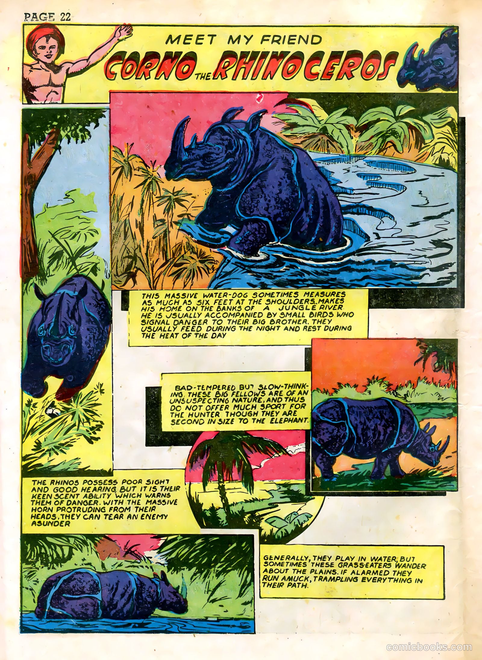 Wambi, Jungle Boy #3 (1943) — page 24 of 68